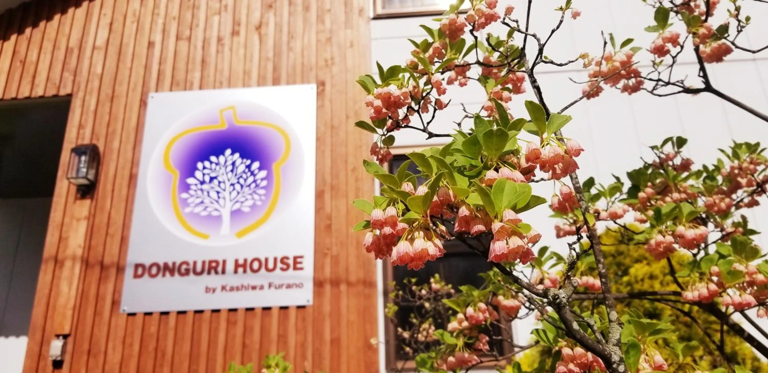 Property logo or sign in Donguri House