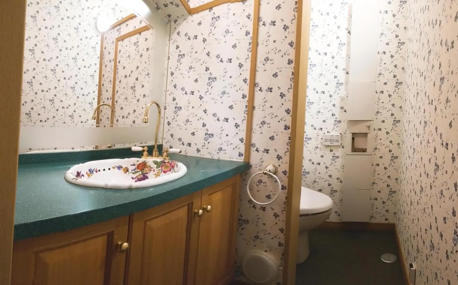 Toilet in Donguri House