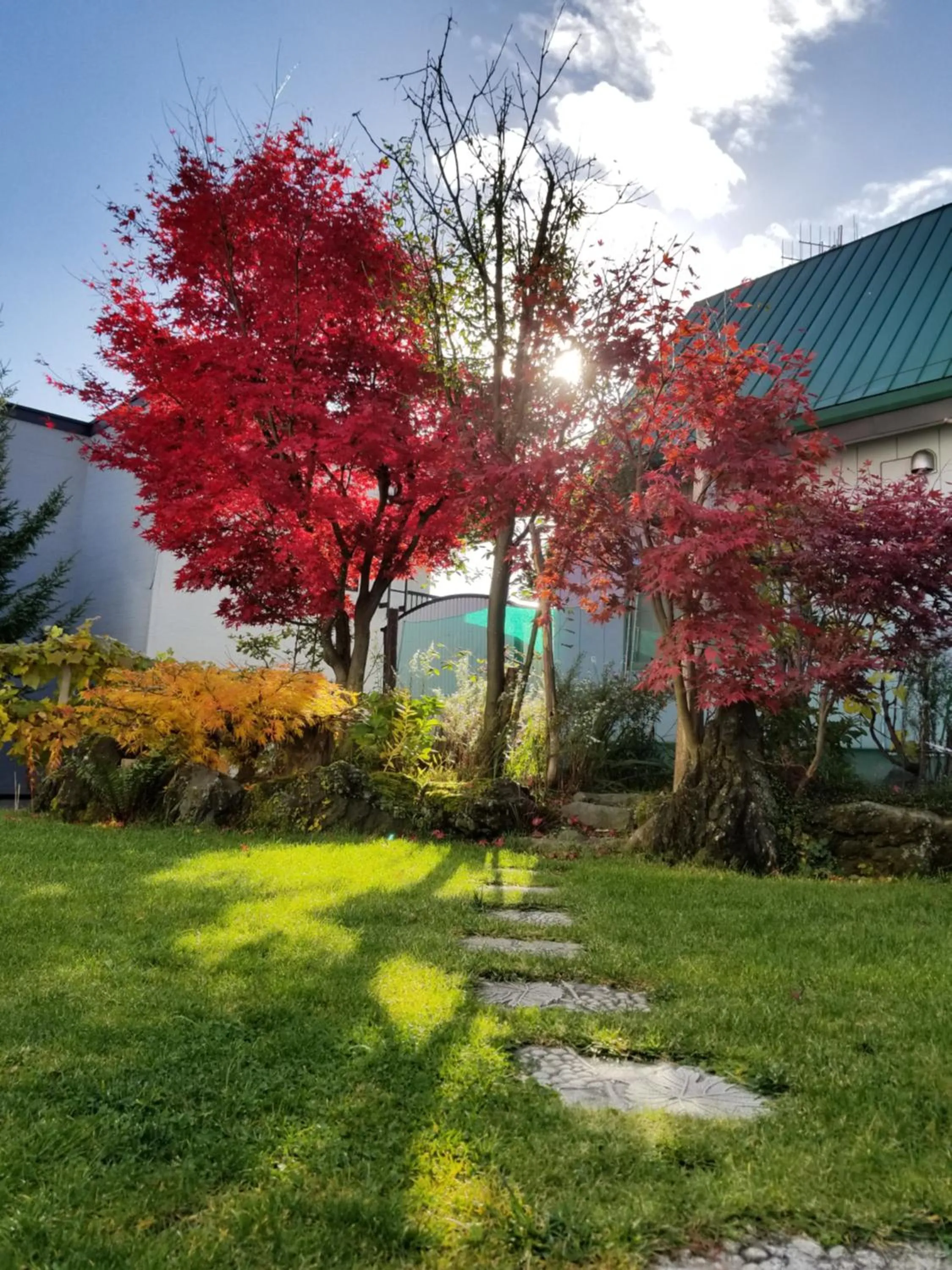 Garden in Donguri House