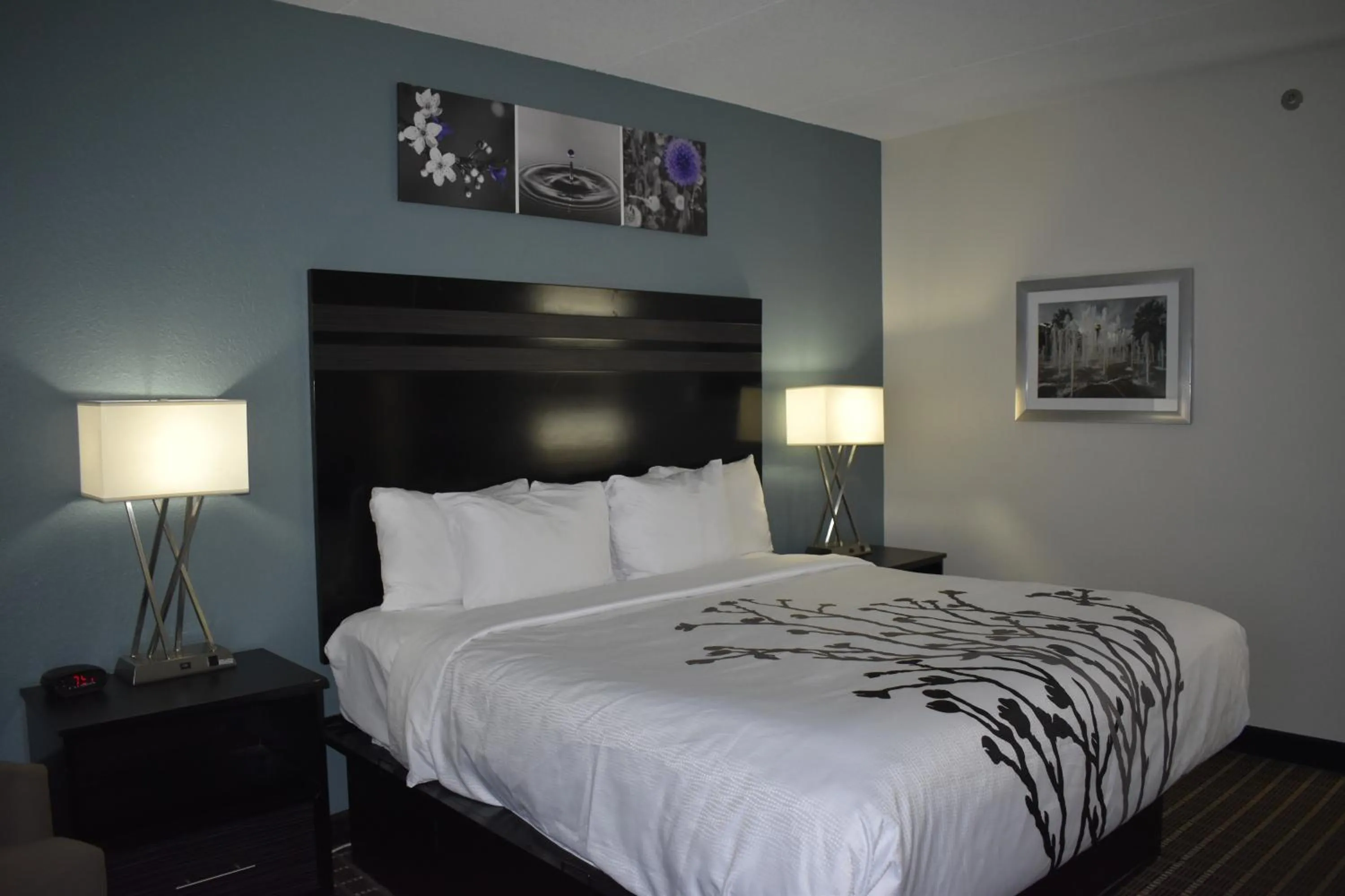 Bed in Sleep Inn & Suites West Knoxville