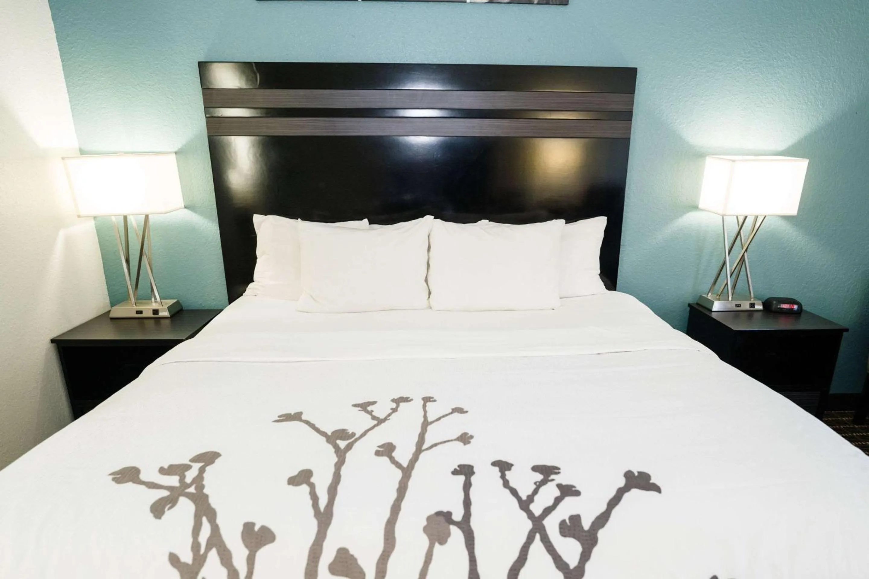 Bedroom, Bed in Sleep Inn & Suites West Knoxville