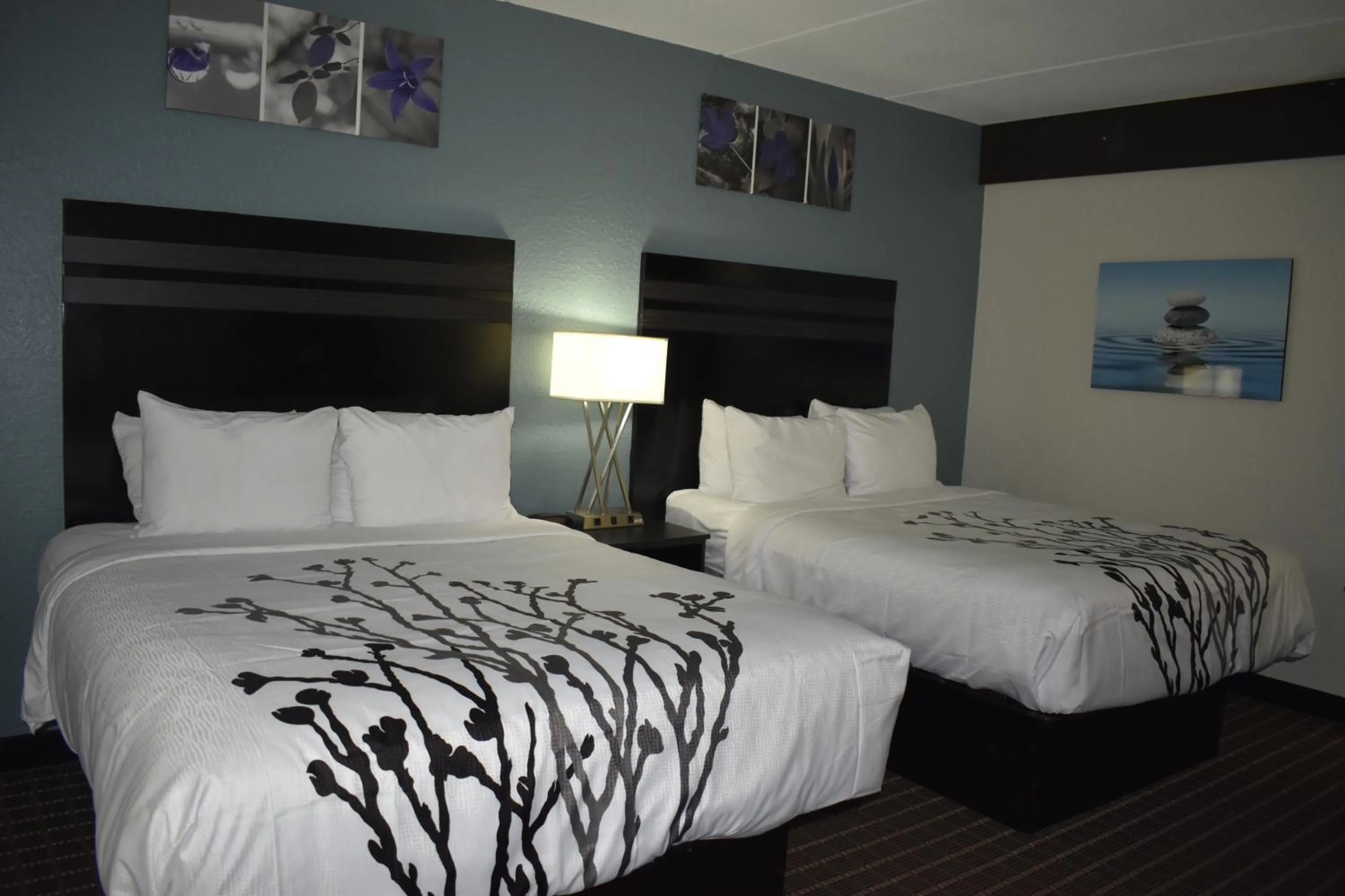 Bed in Sleep Inn & Suites West Knoxville