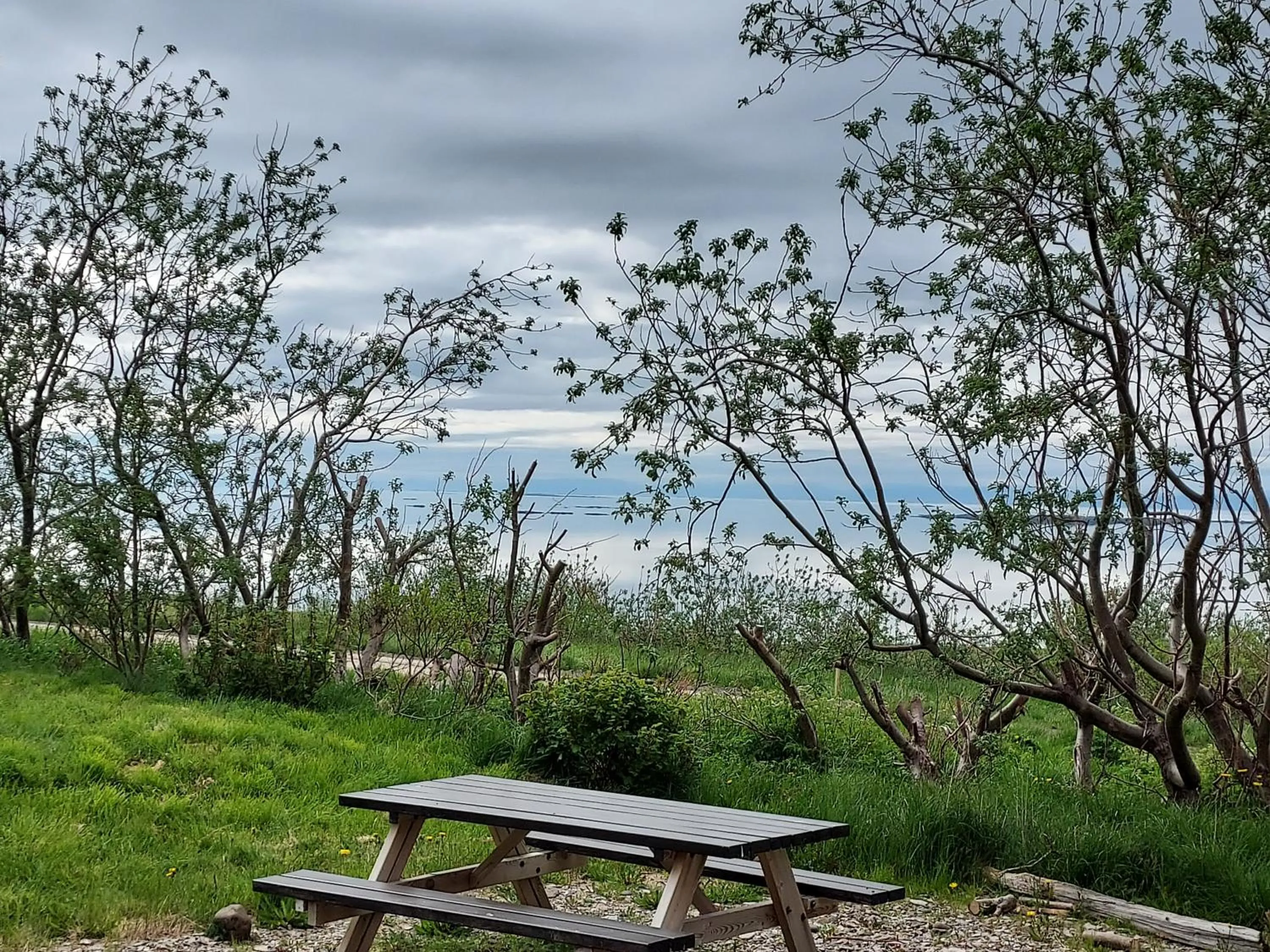 Sea view in Guesthouse Nýp