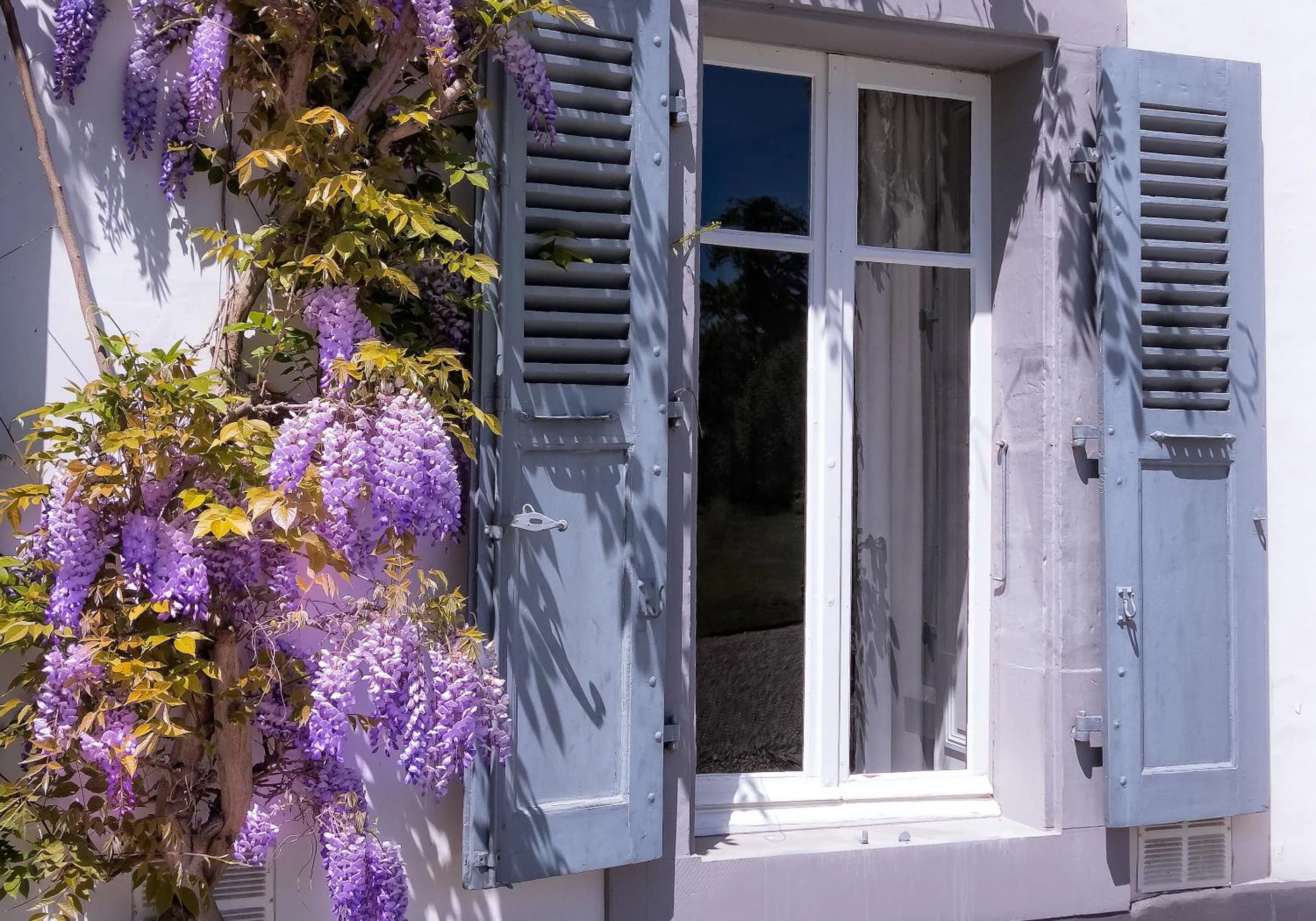 Property building in Château de Bossey