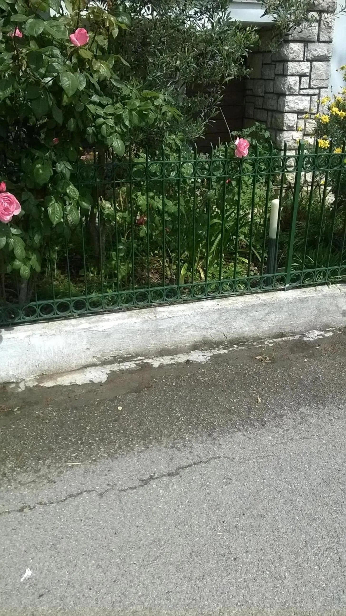 Neighbourhood in La Casetta Dei Cedri