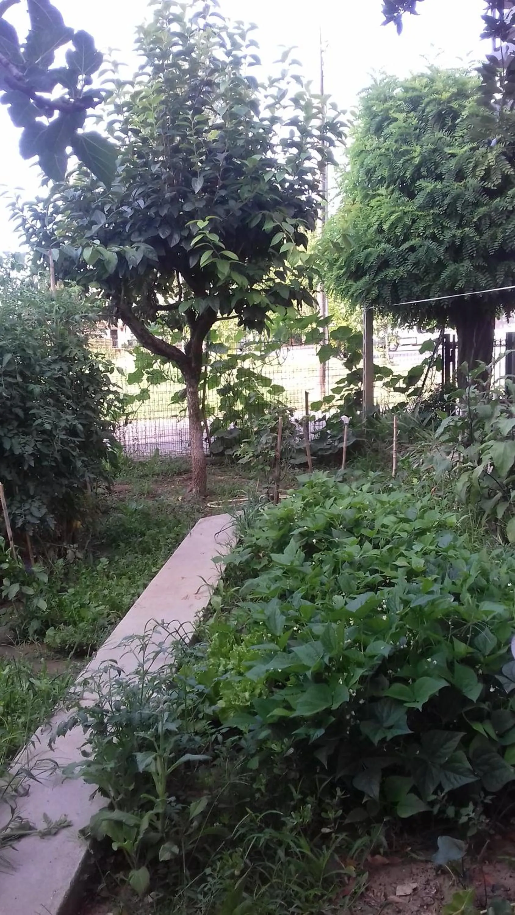 Decorative detail in La Casetta Dei Cedri