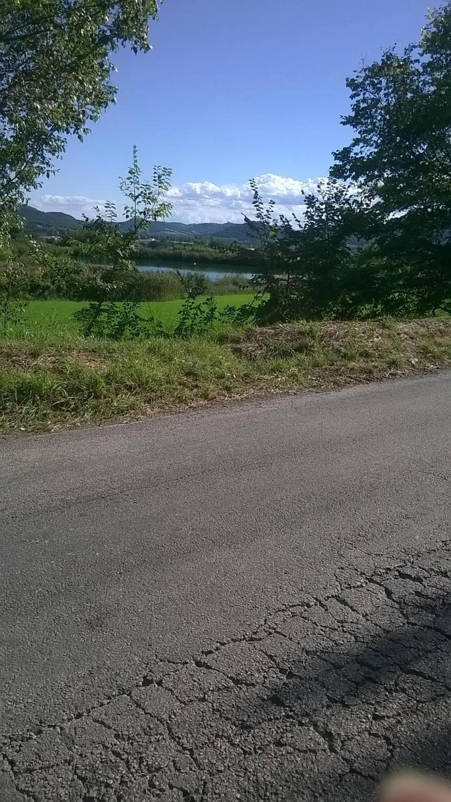 Activities in La Casetta Dei Cedri