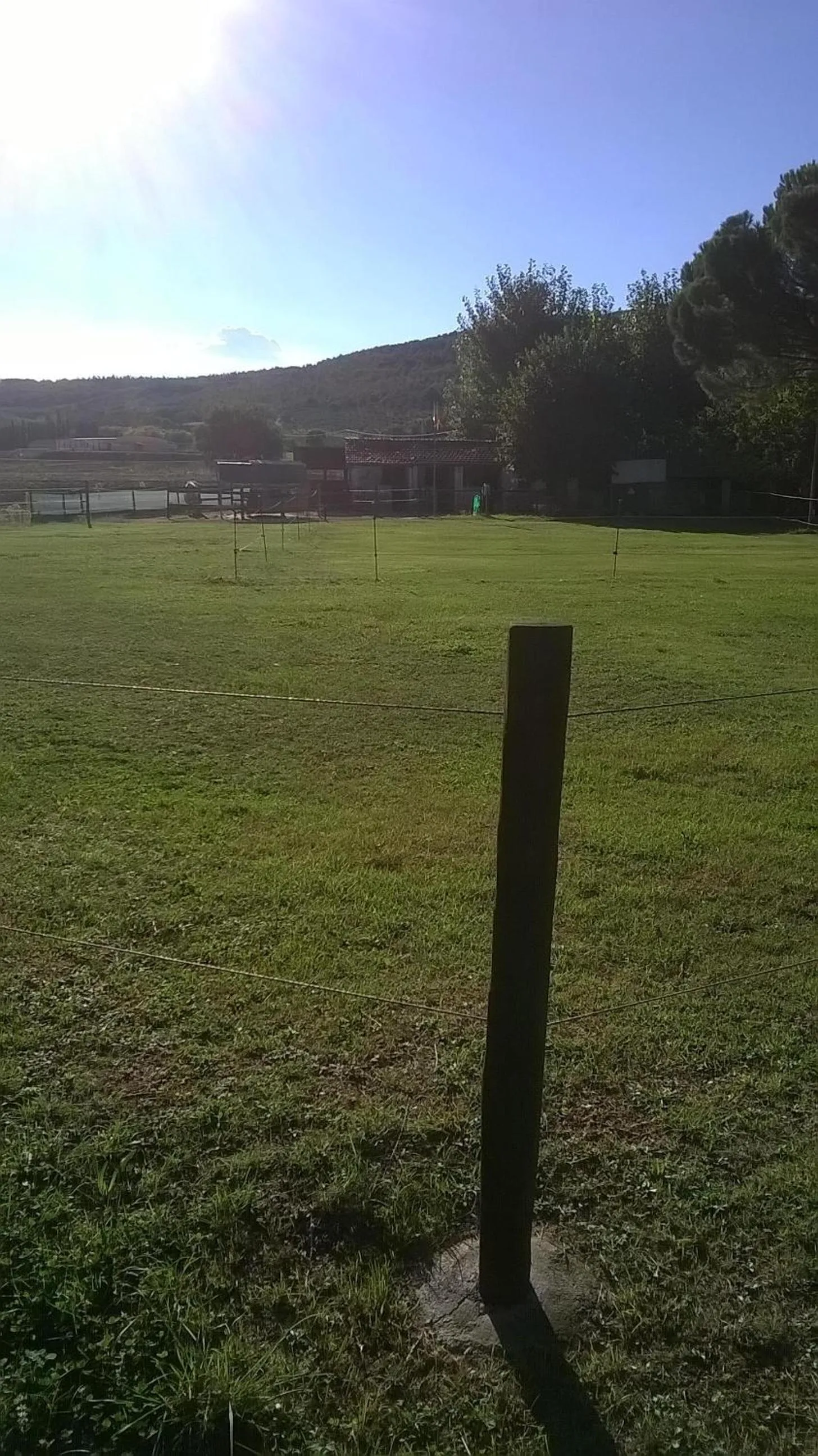 Sports in La Casetta Dei Cedri