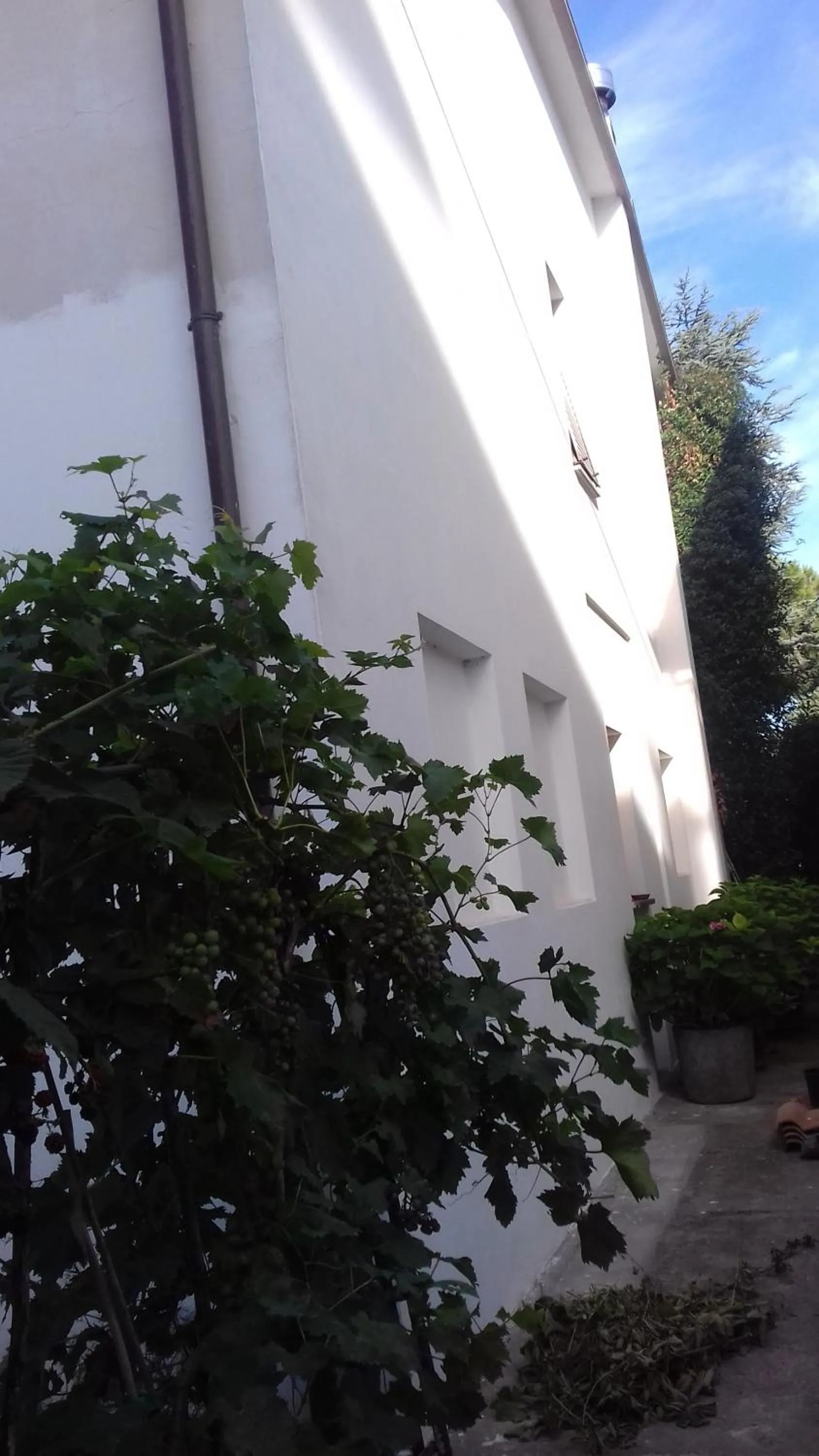 Facade/entrance in La Casetta Dei Cedri