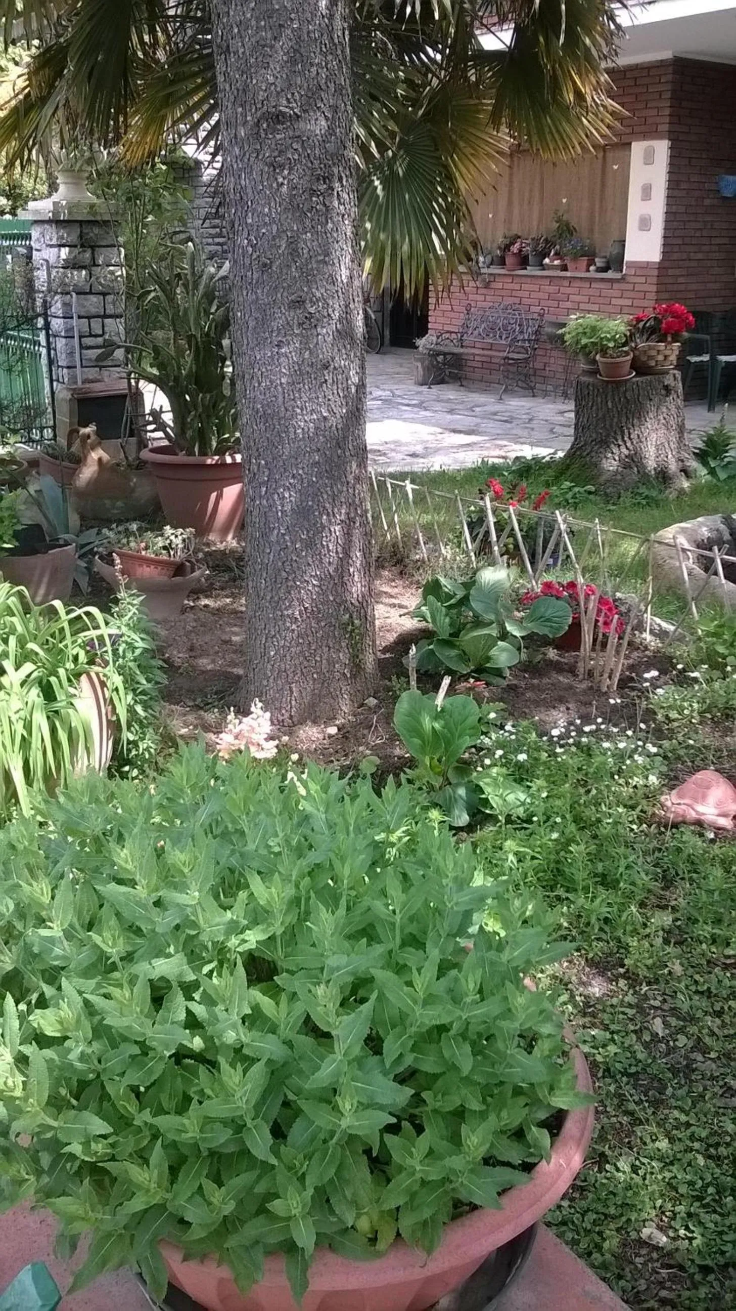 Garden view in La Casetta Dei Cedri