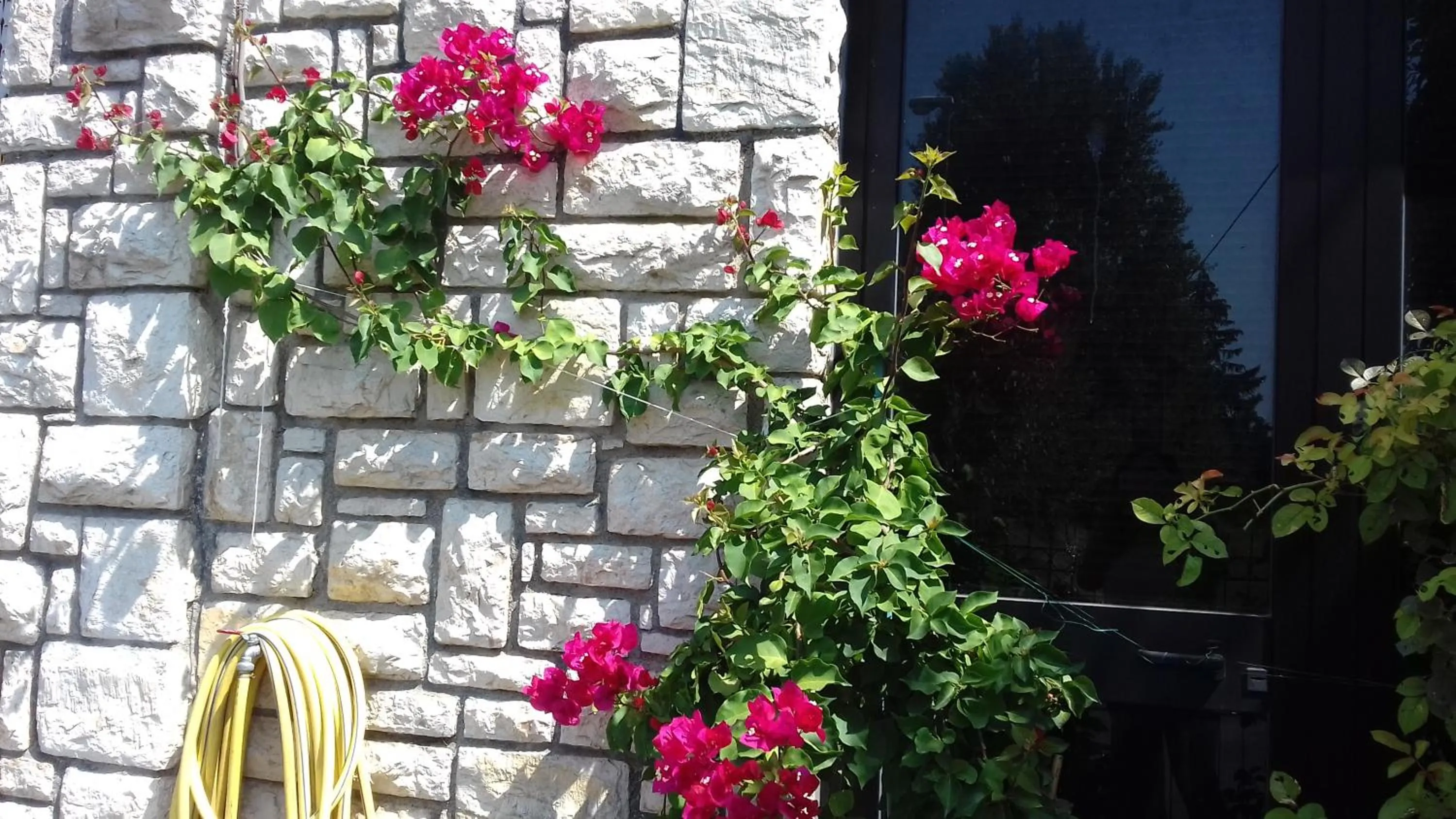 La Casetta Dei Cedri