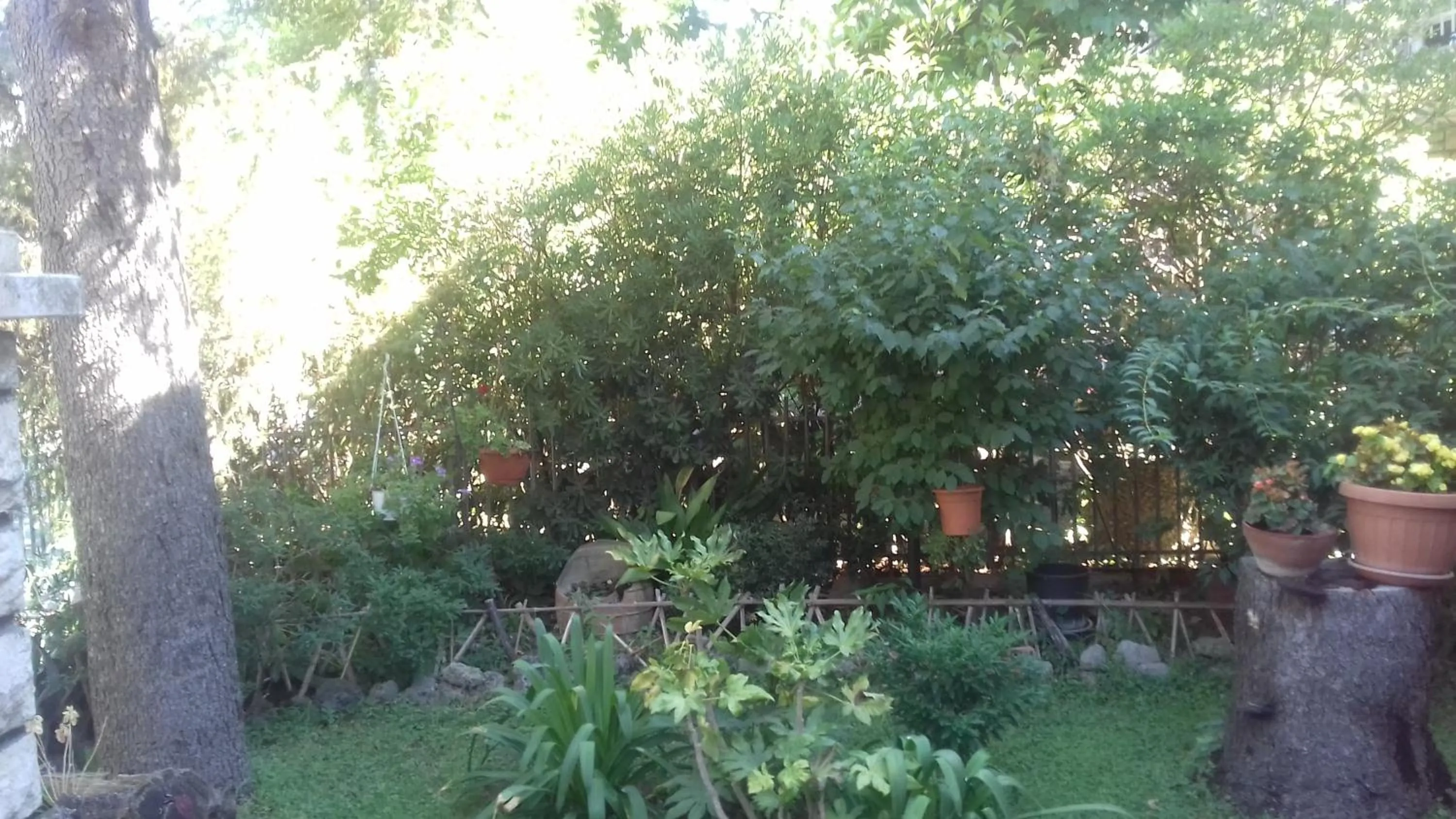 Decorative detail in La Casetta Dei Cedri