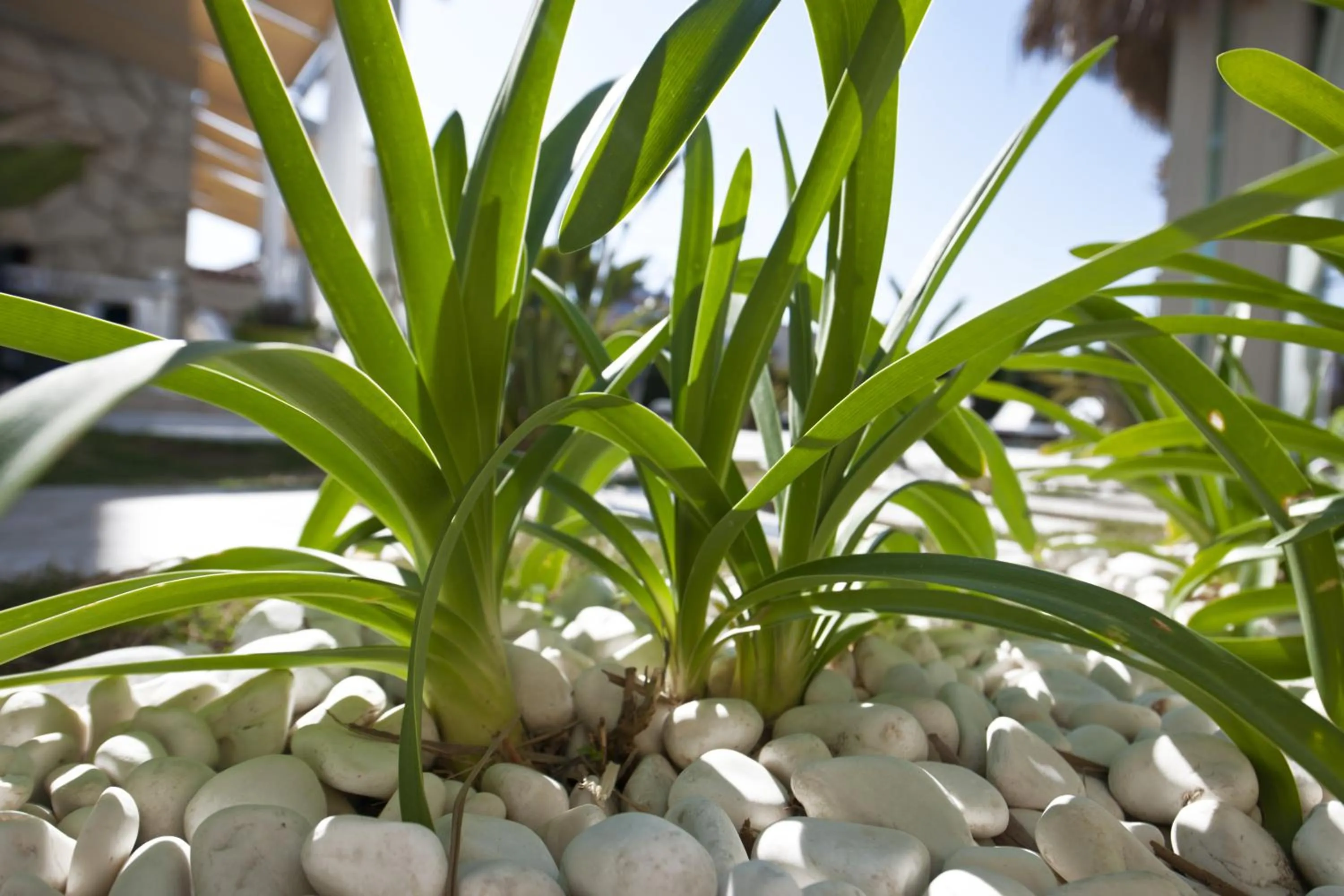 View (from property/room) in Sade Alacati Hotel