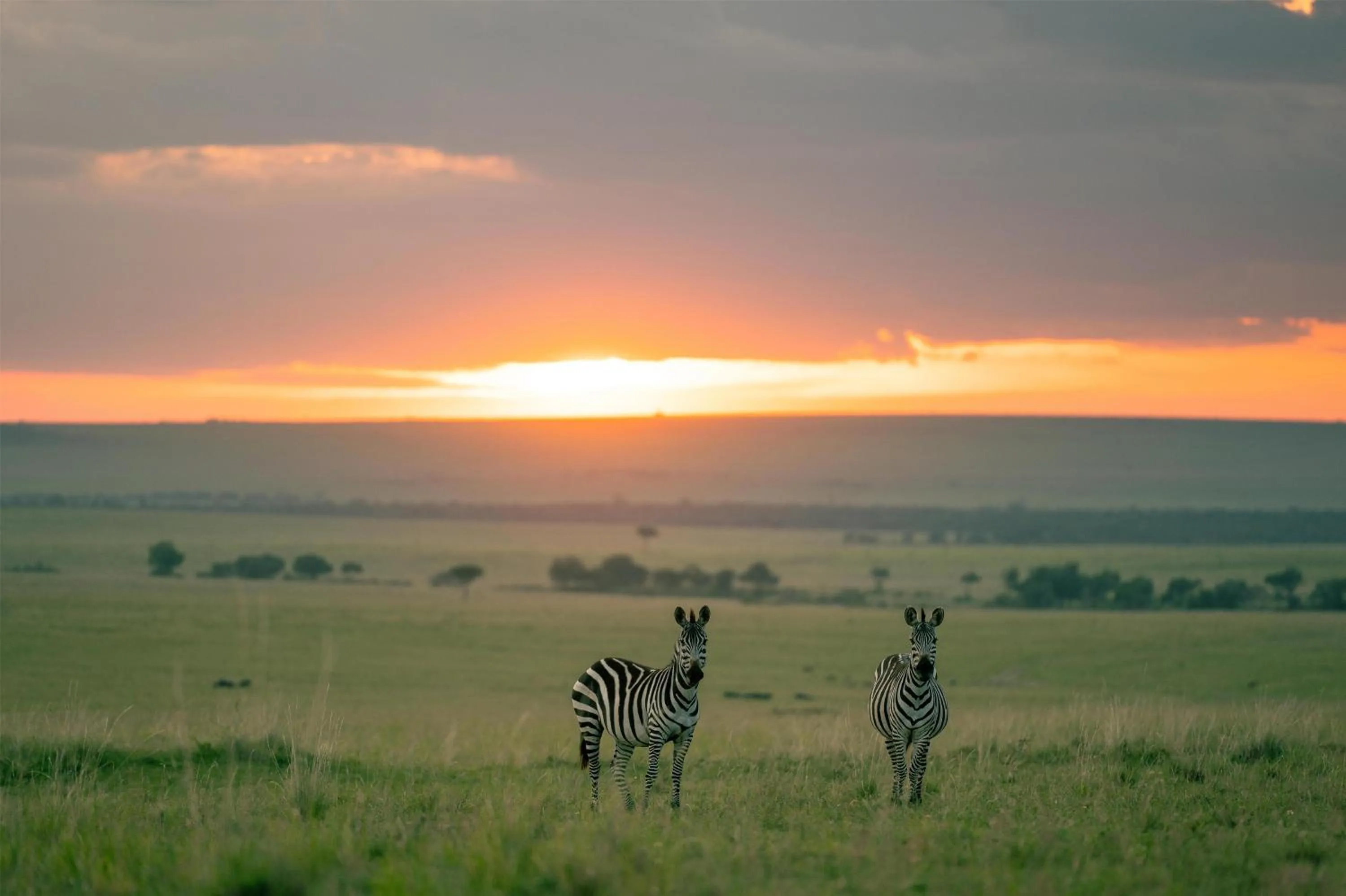 Other in Olare Mara Kempinski