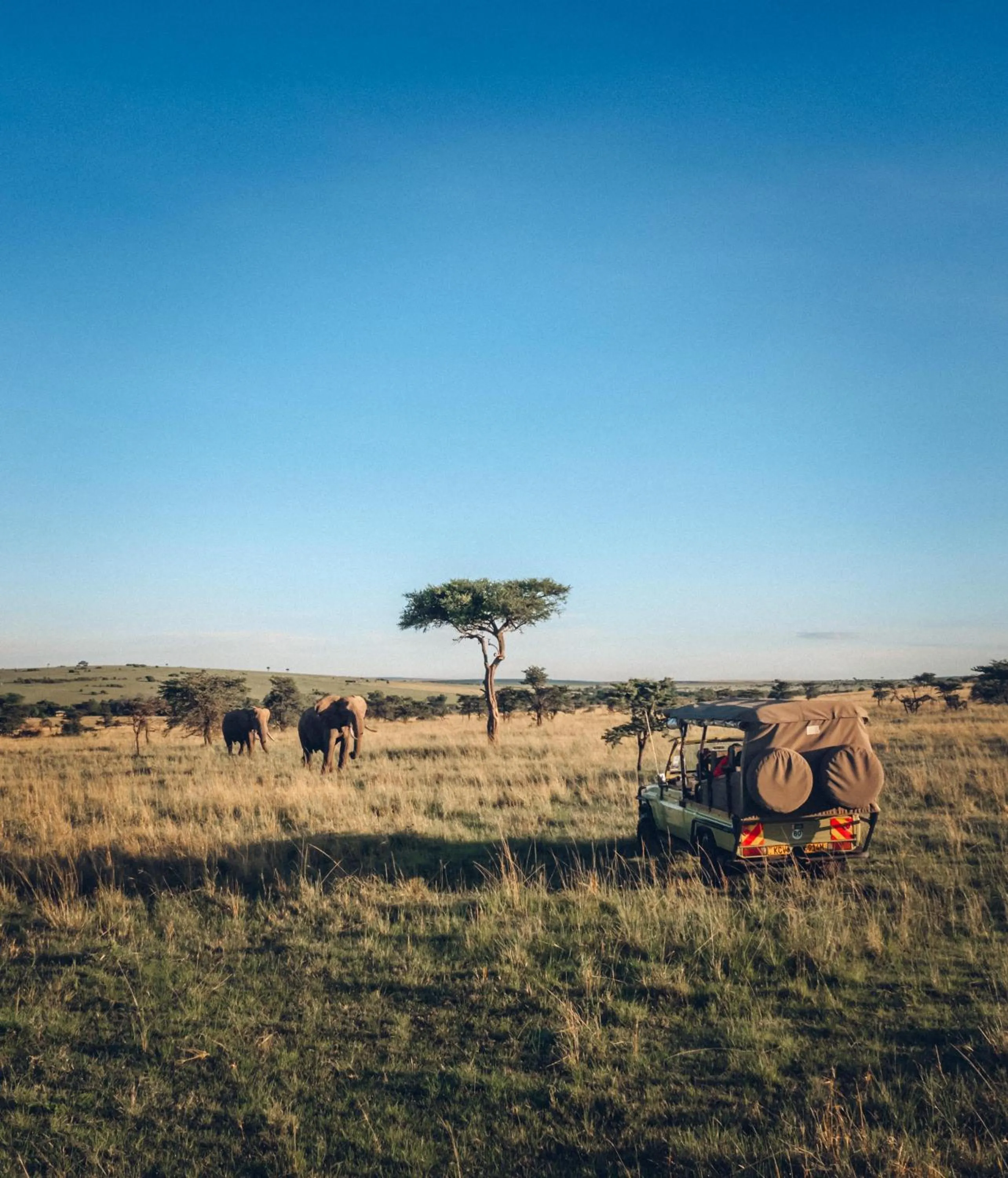 Other in Olare Mara Kempinski