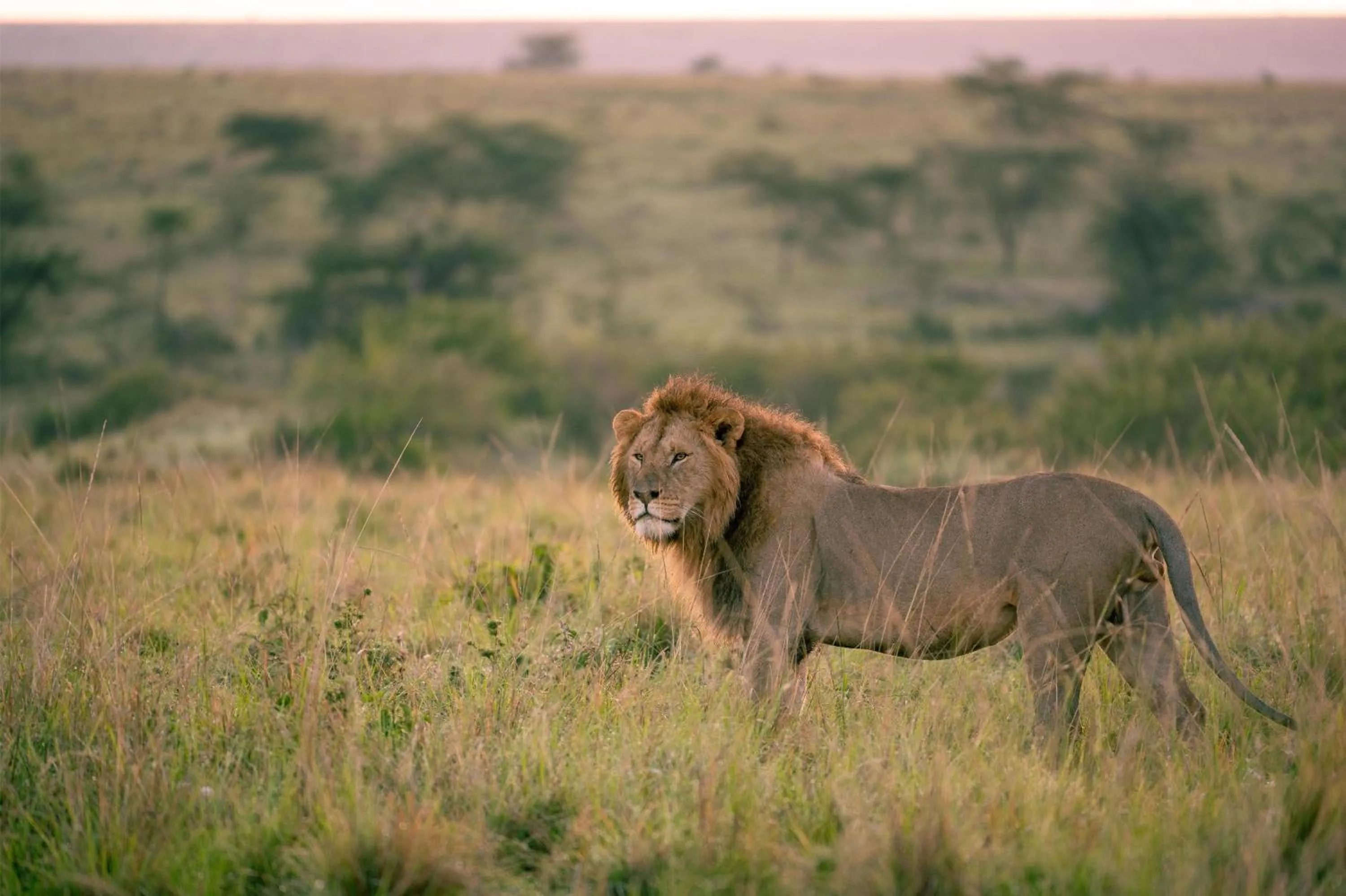 Other in Olare Mara Kempinski