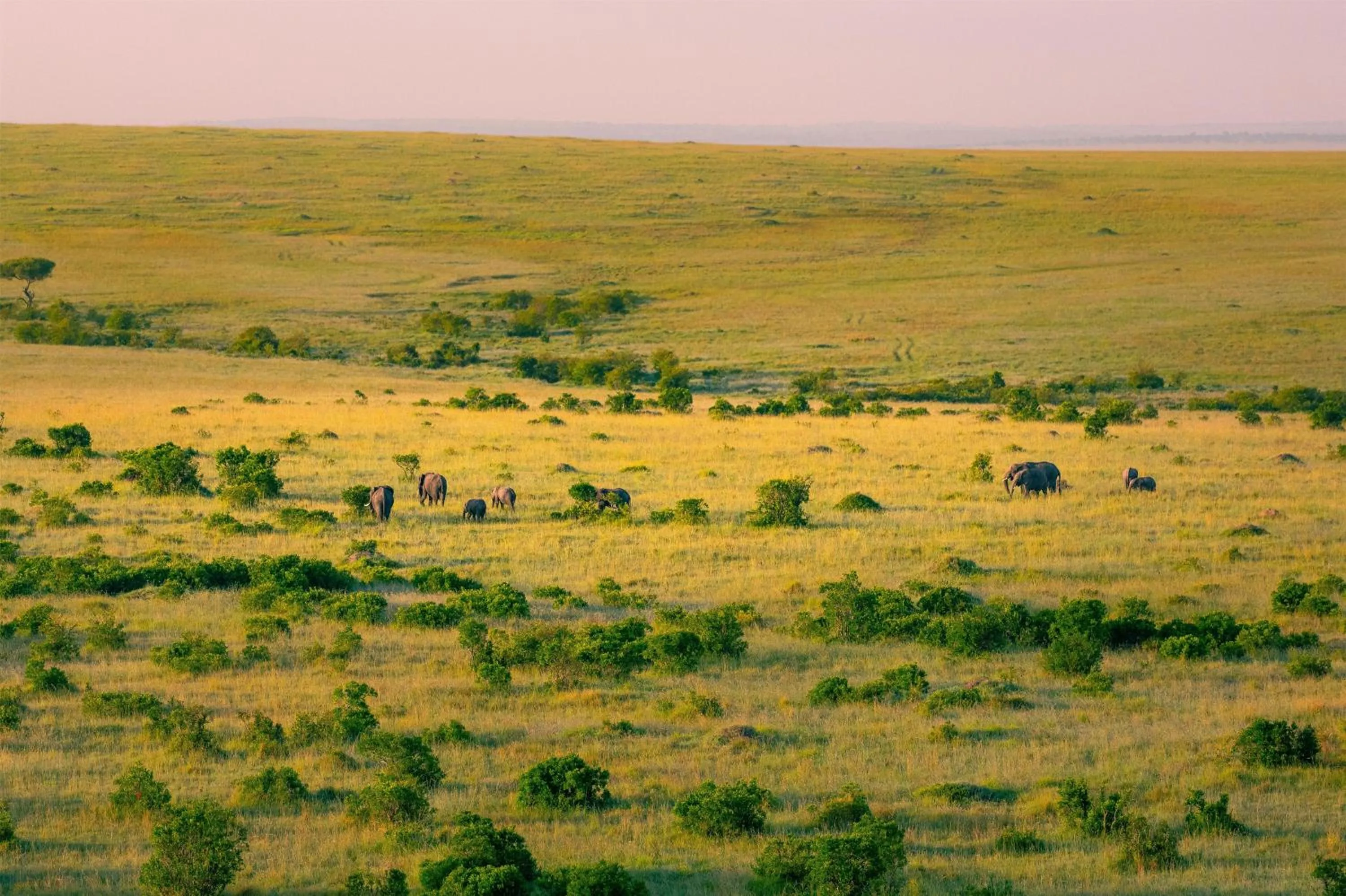 Other in Olare Mara Kempinski