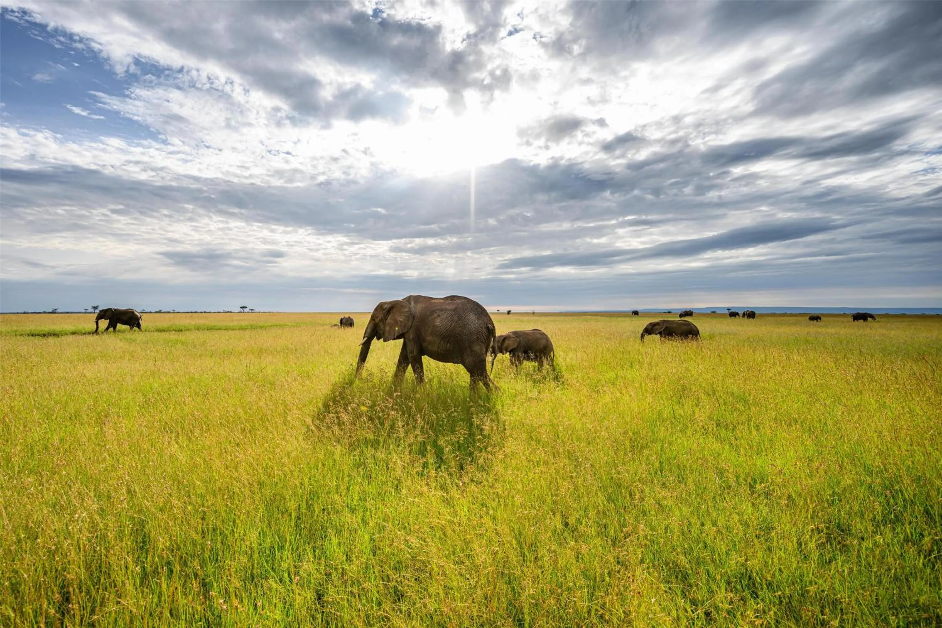 Other in Olare Mara Kempinski
