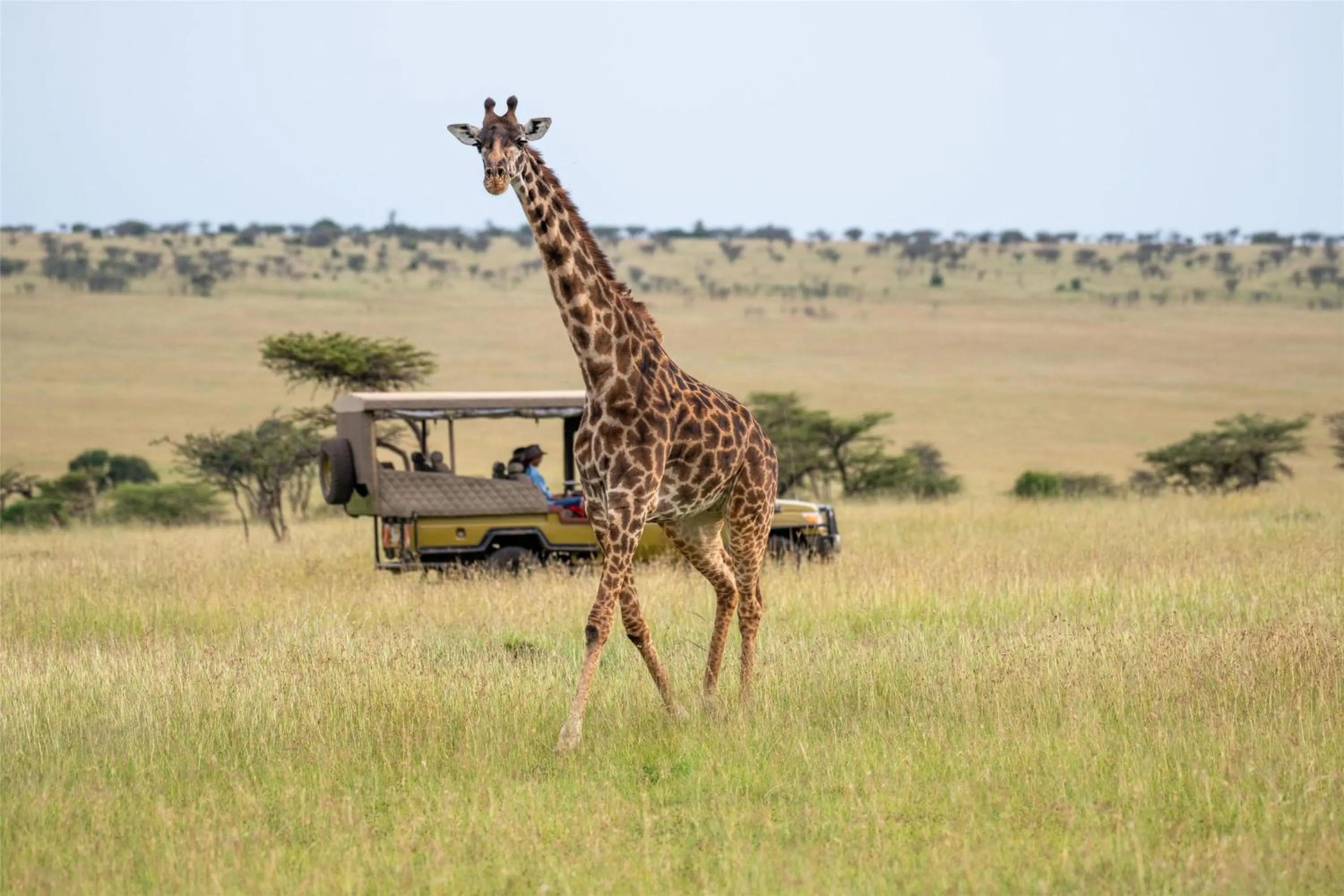 Other in Olare Mara Kempinski