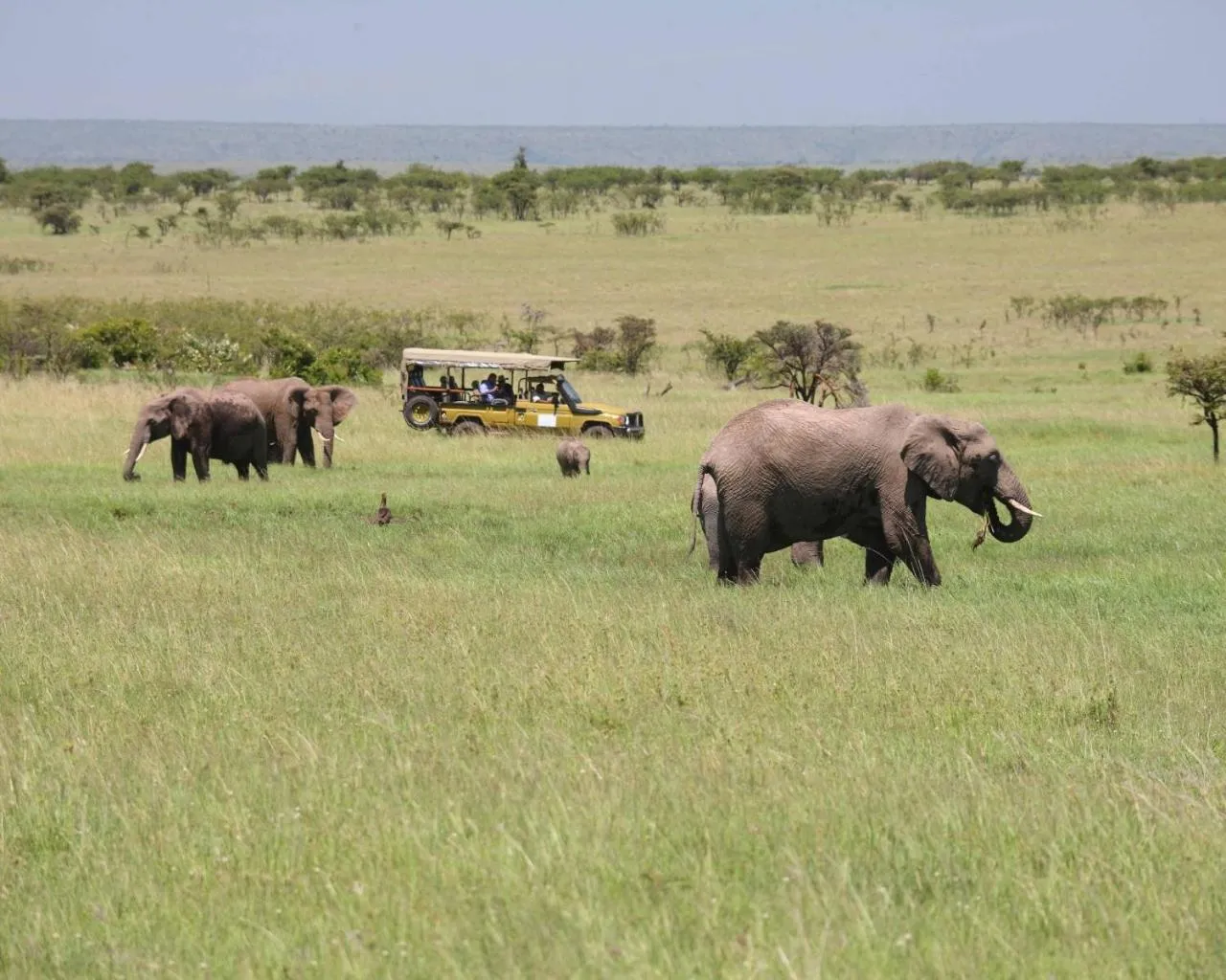 Day in Olare Mara Kempinski