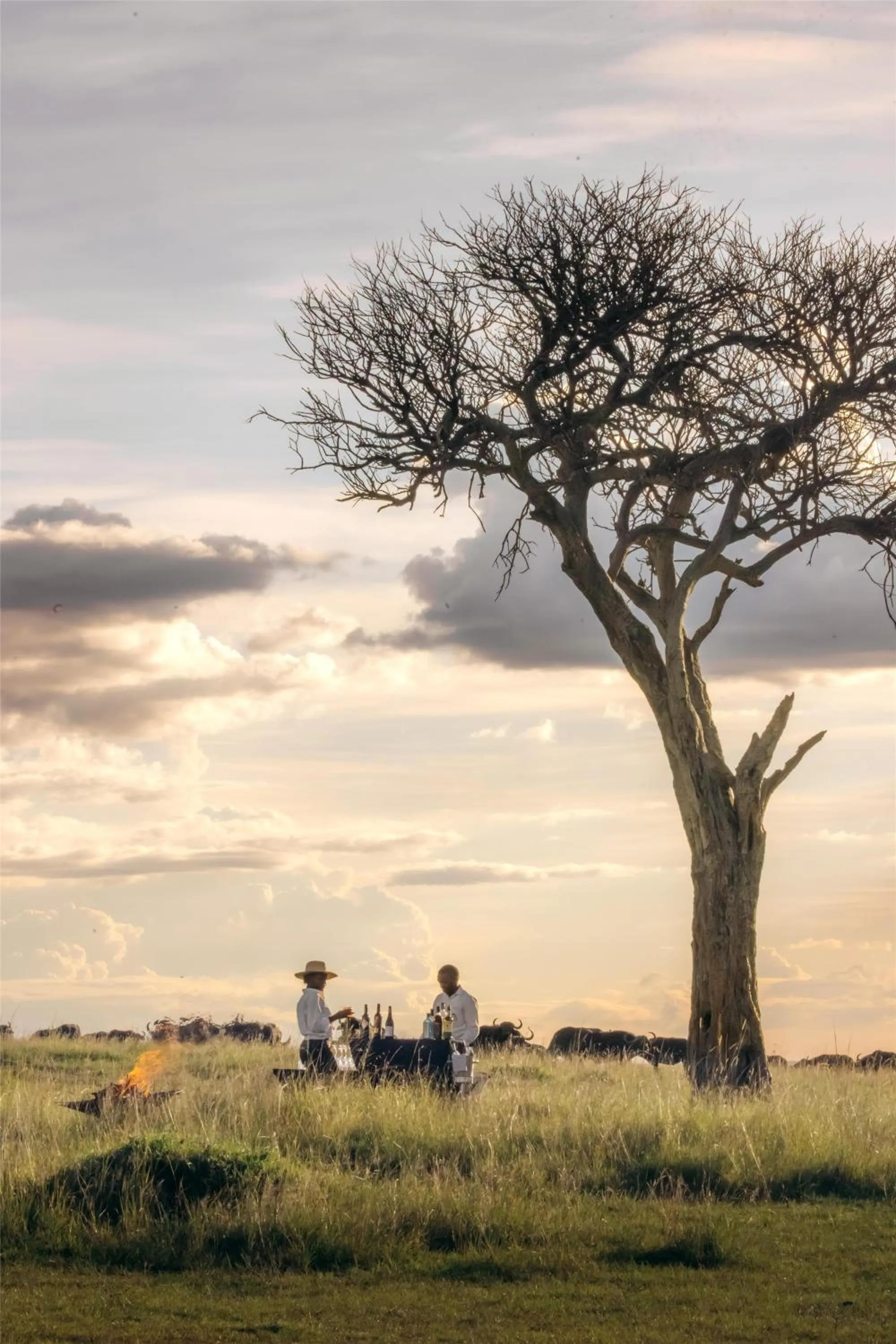 Other in Olare Mara Kempinski