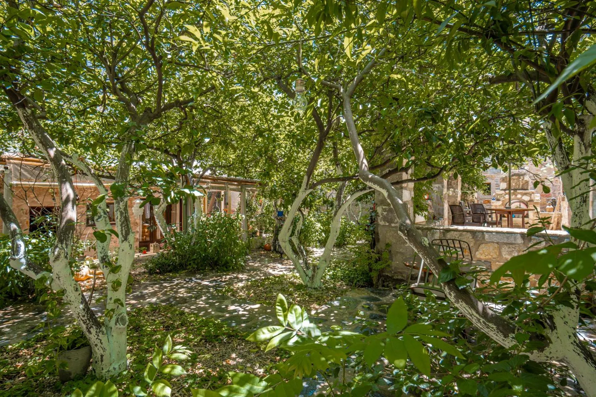 Natural landscape in Ha La Bodrum