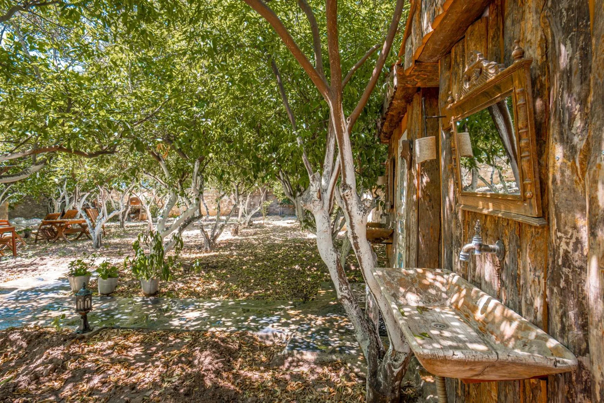 Spring in Ha La Bodrum