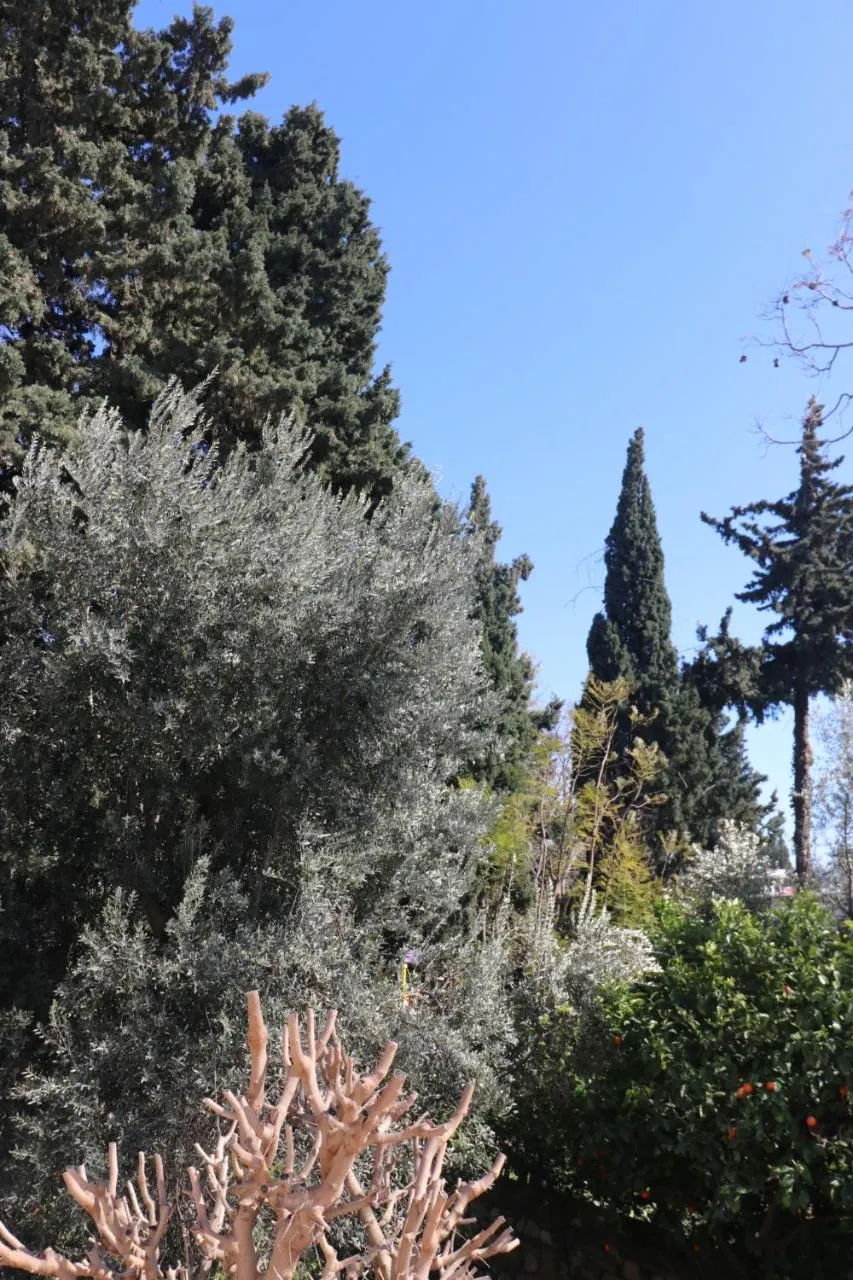 View (from property/room) in Ha La Bodrum