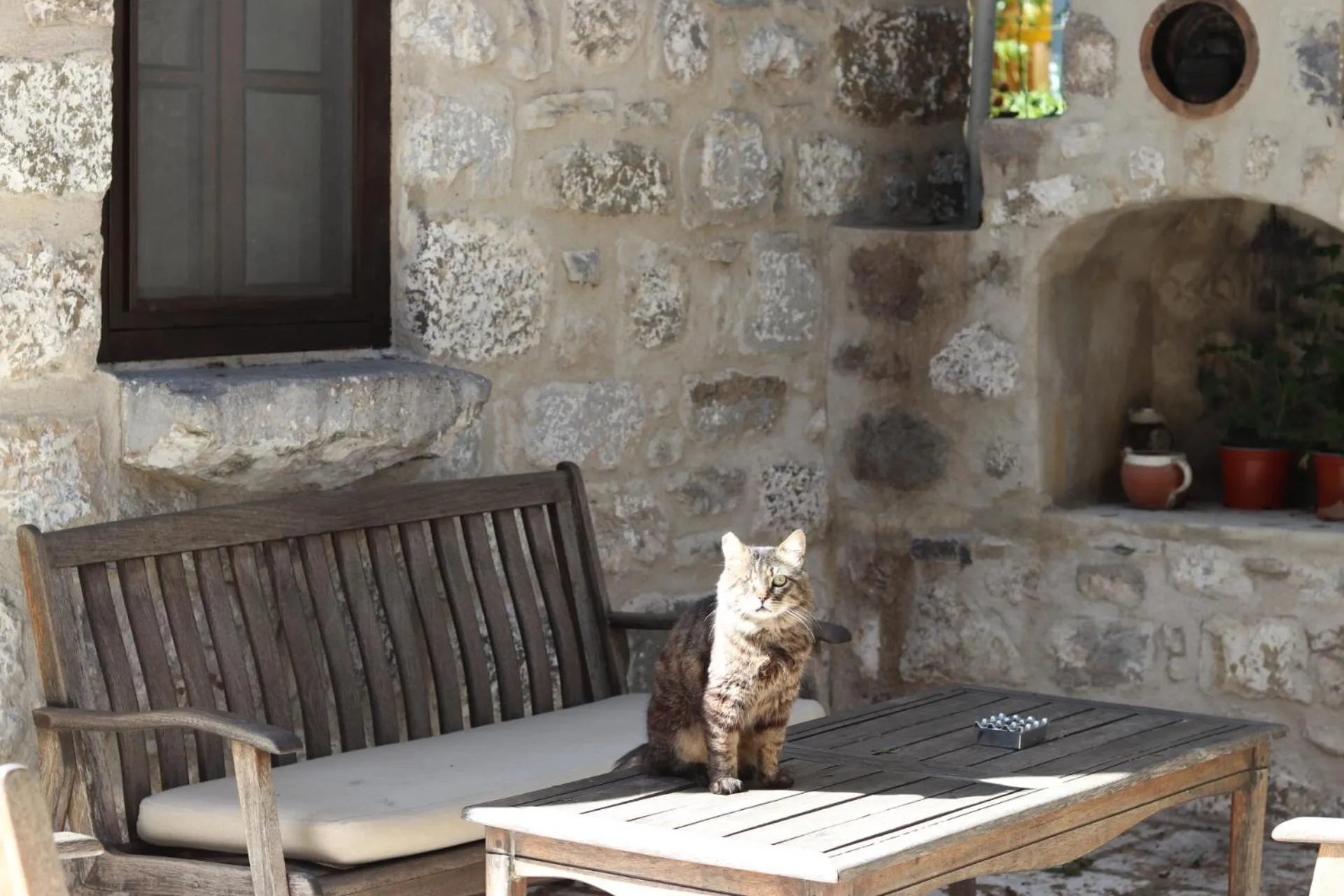 View (from property/room) in Ha La Bodrum