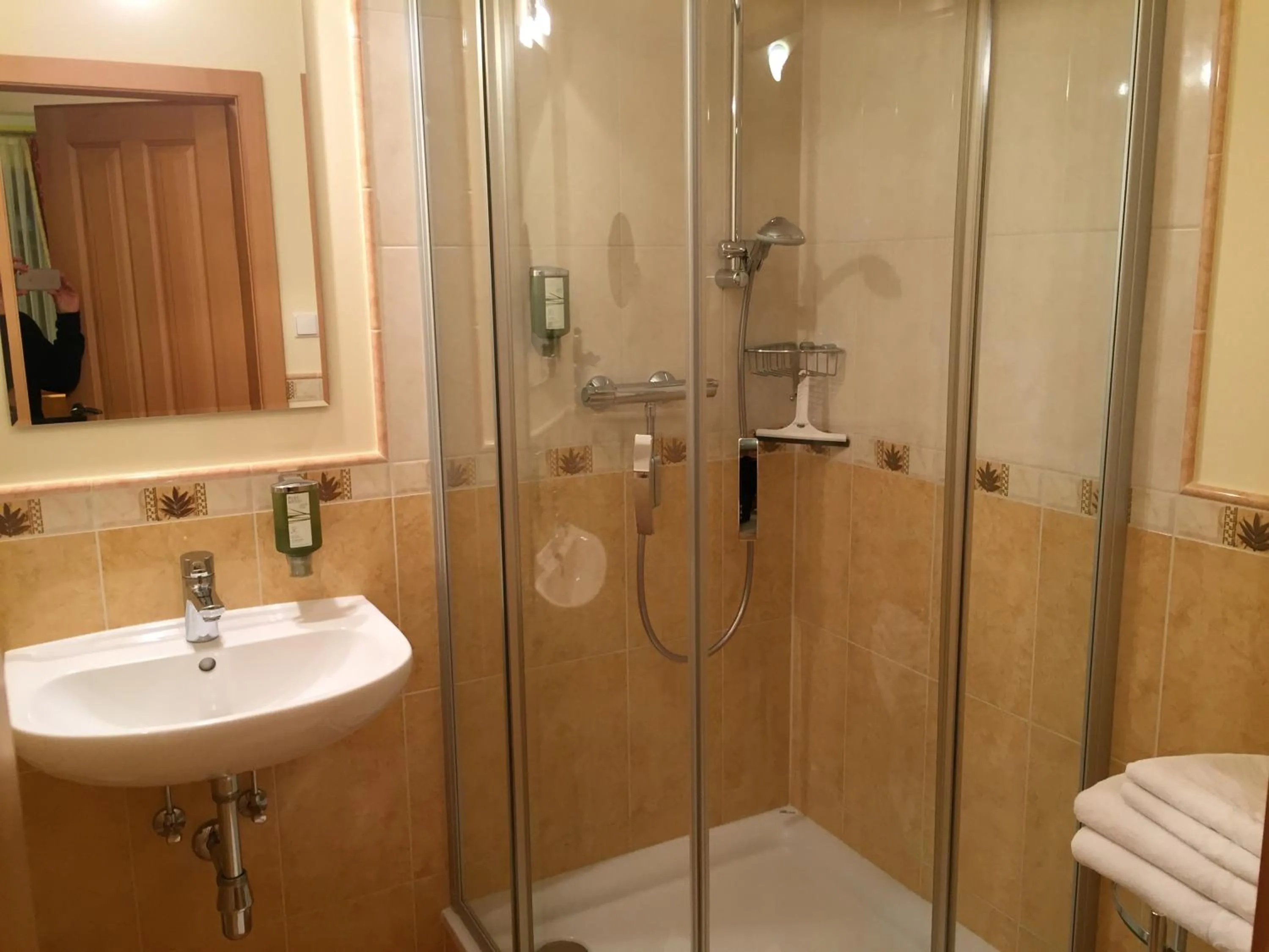 Shower in Landhaus am Bach