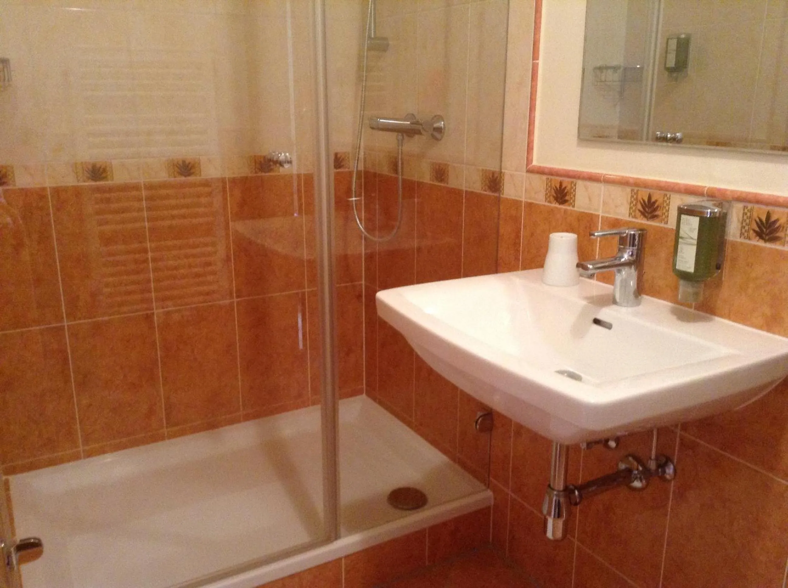 Shower in Landhaus am Bach