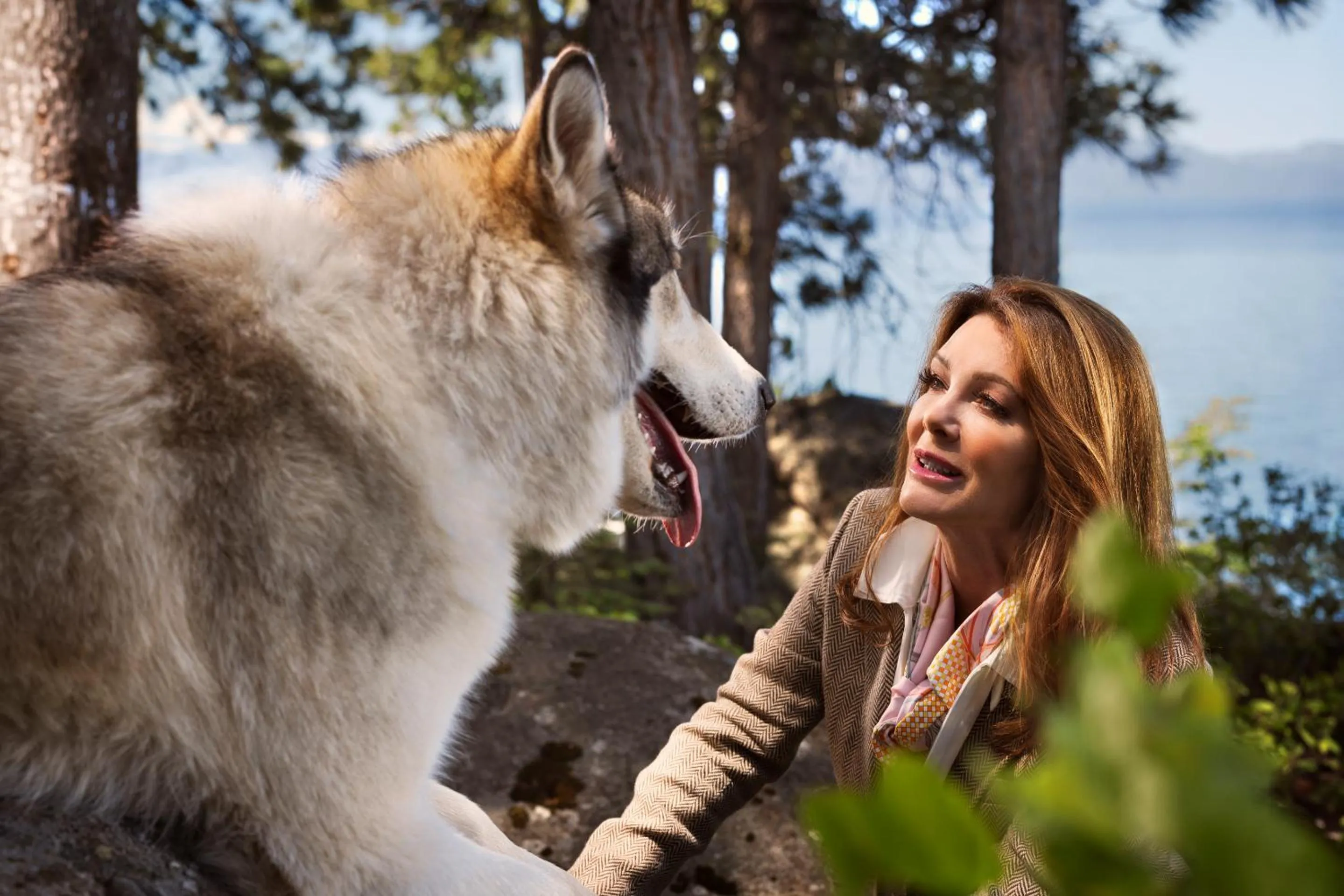 Restaurant/places to eat in Caesars Republic Lake Tahoe, A Caesars Destination