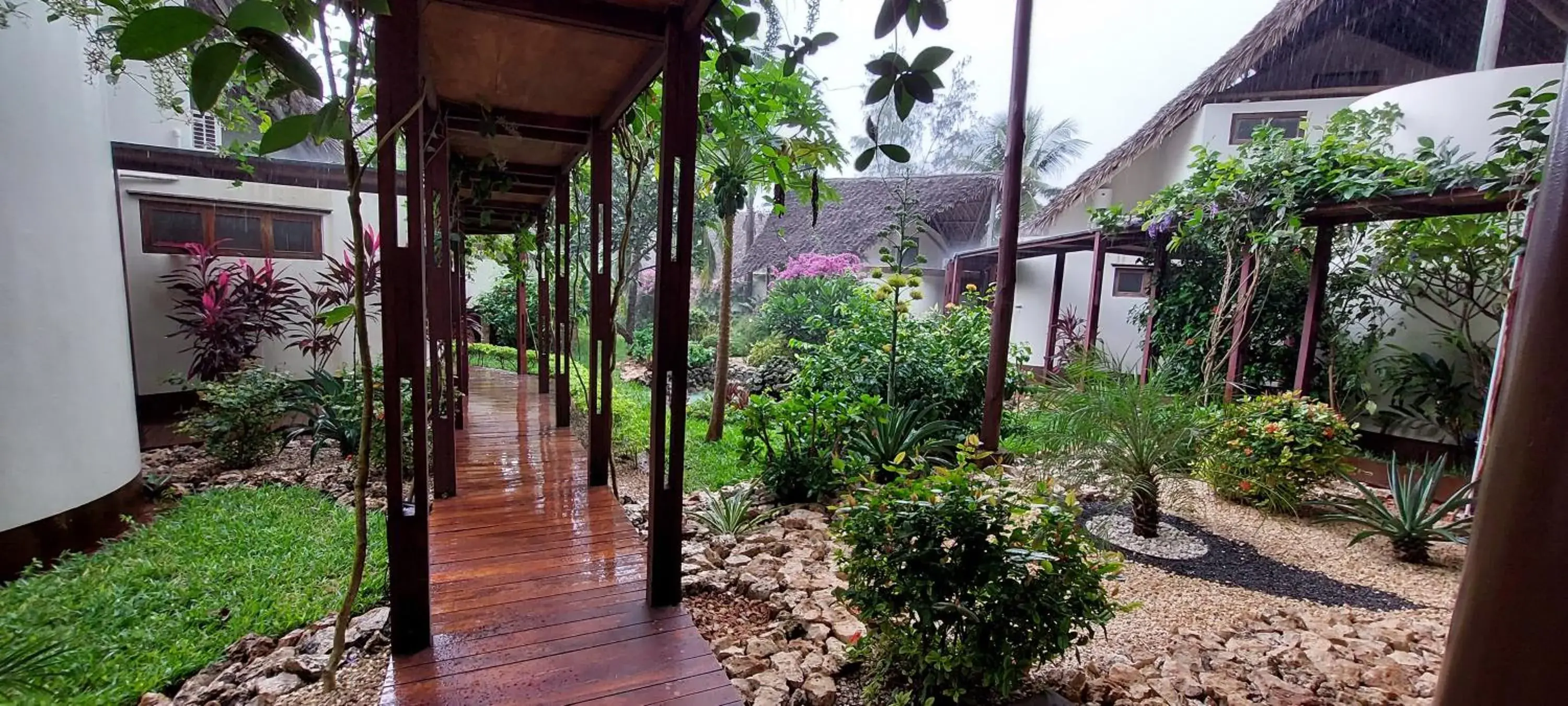 Garden view in Kena Beach Hotel Garden view in Kena Beach Hotel