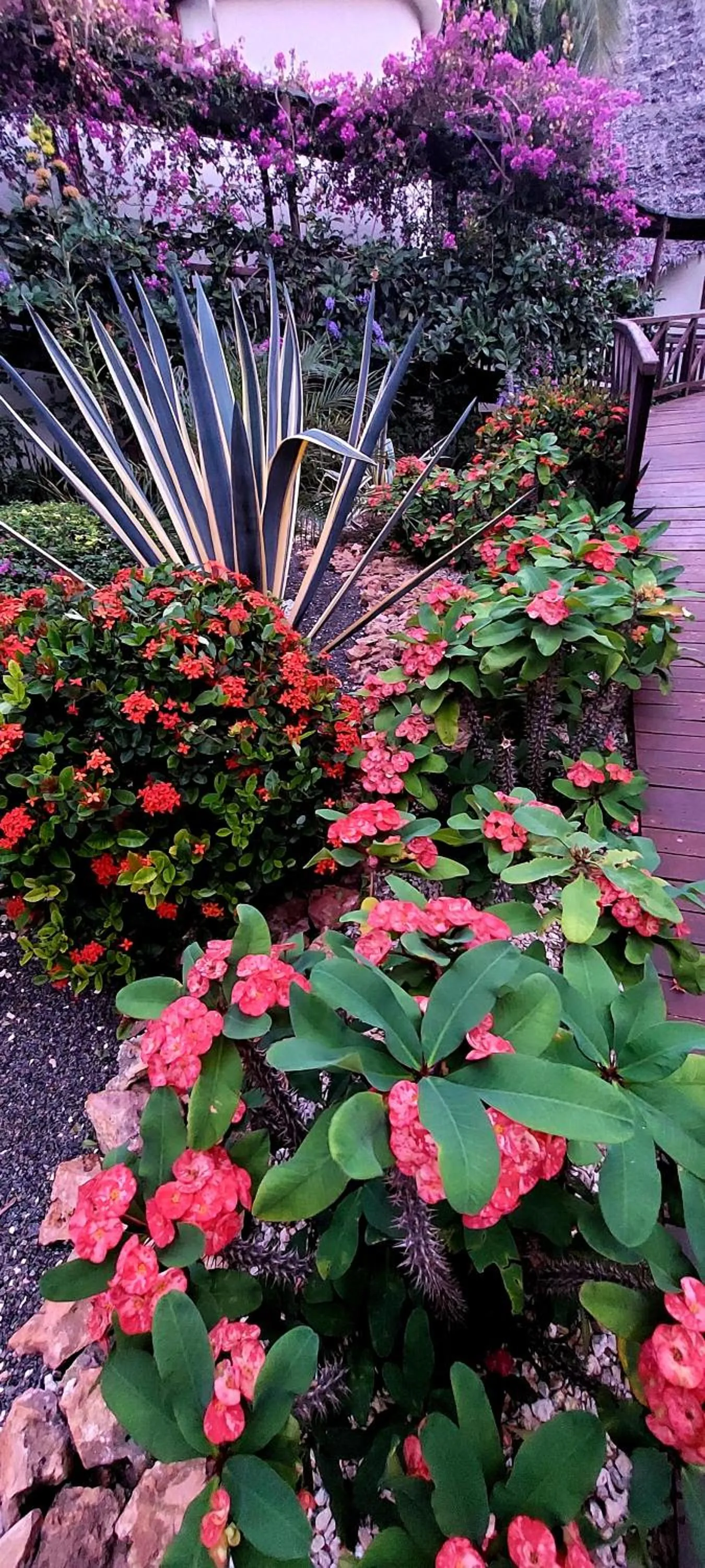 Garden in Kena Beach Hotel