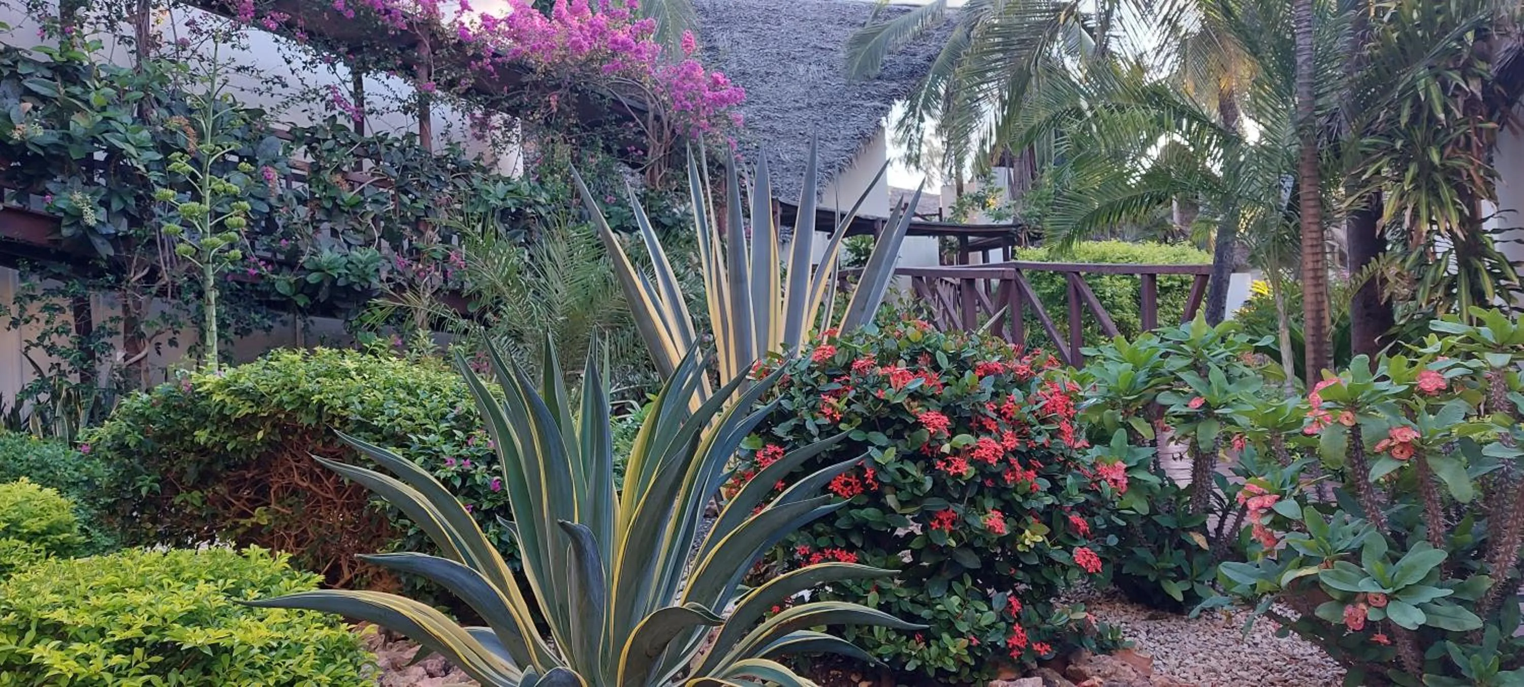 Garden in Kena Beach Hotel