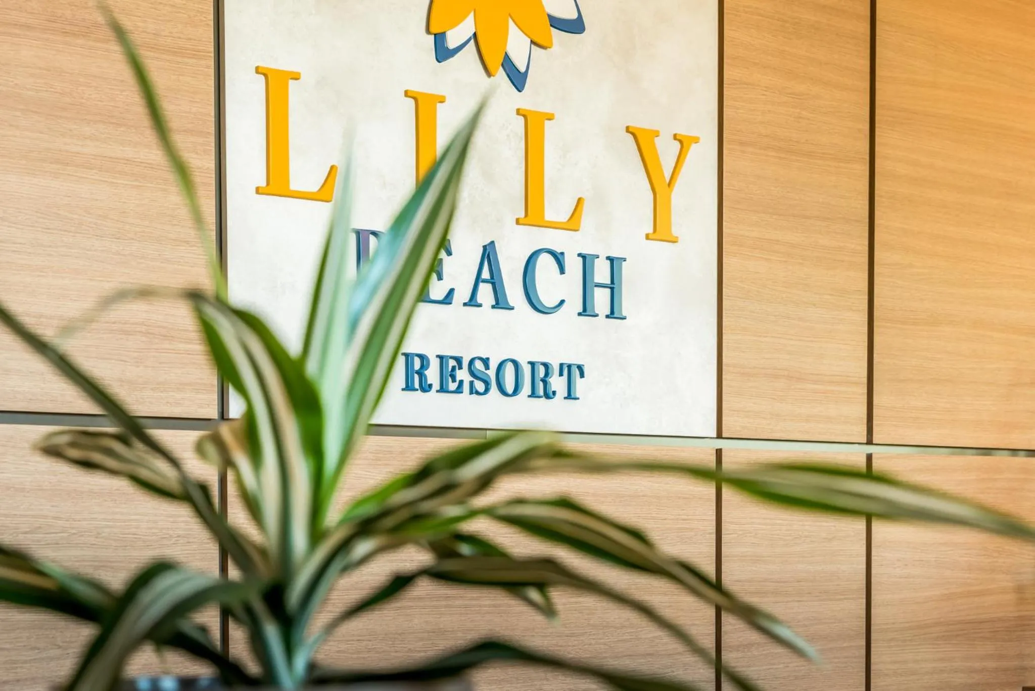 Logo/Certificate/Sign in Lily Beach Resort