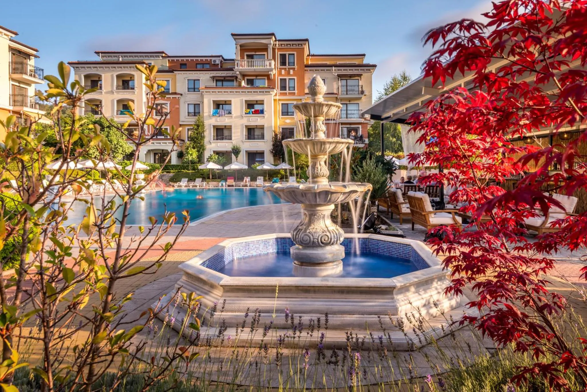 Garden in Lily Beach Resort