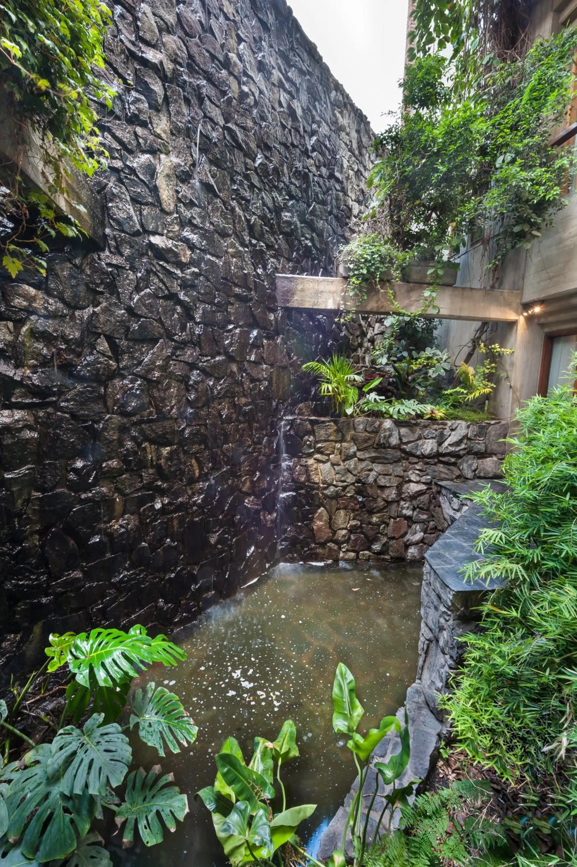 Garden in Hotel de la Cañada