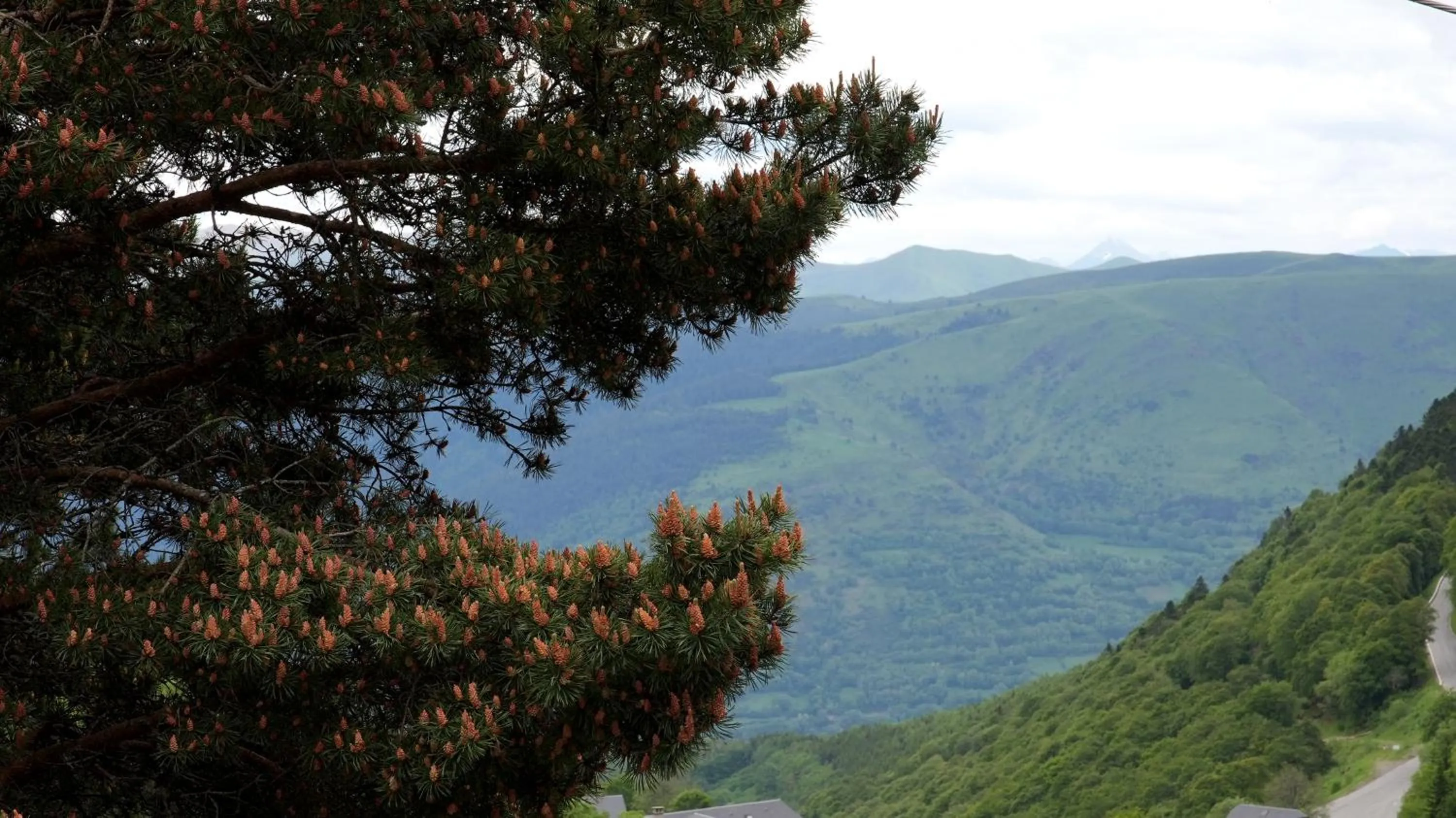 Nearby landmark in La Sapinière St Lary Soulan