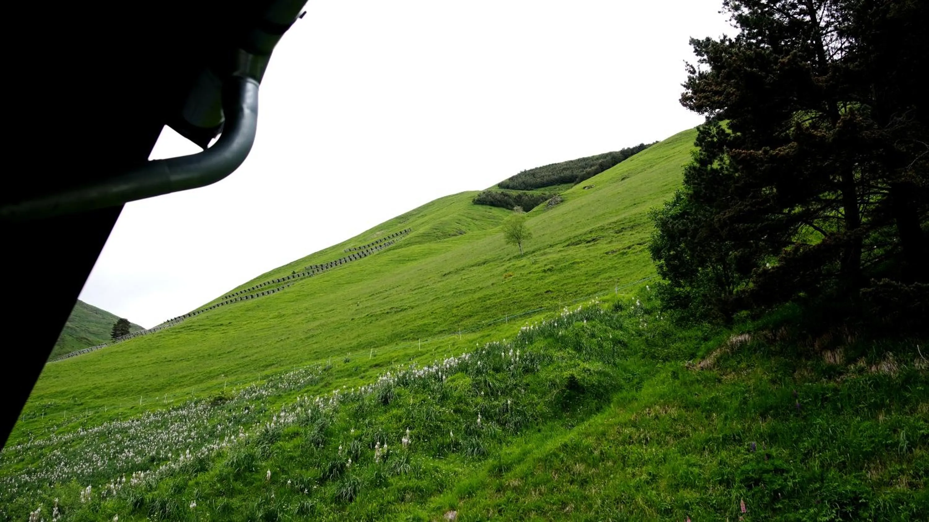 Spring in La Sapinière St Lary Soulan