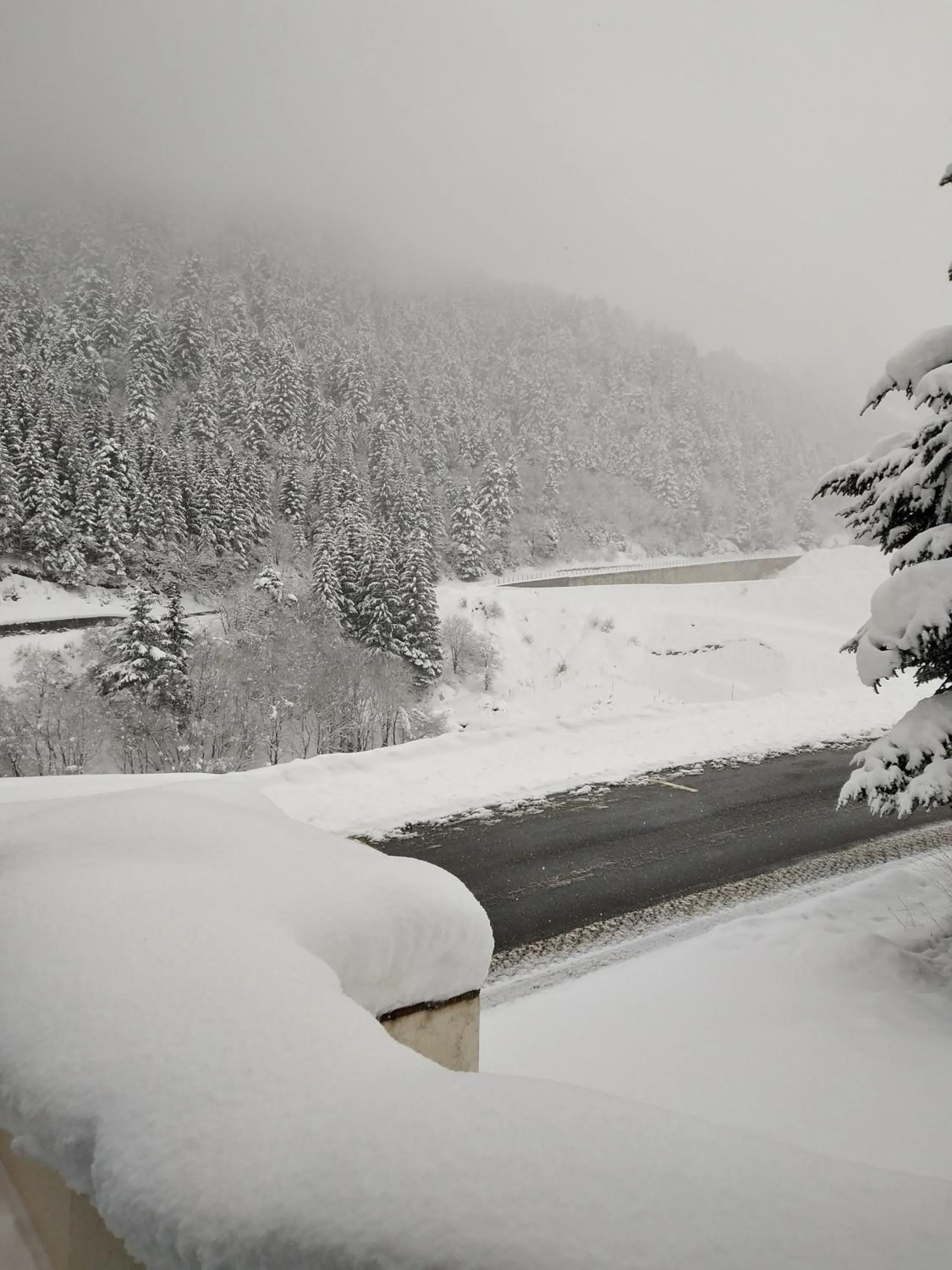 Natural landscape in La Sapinière St Lary Soulan