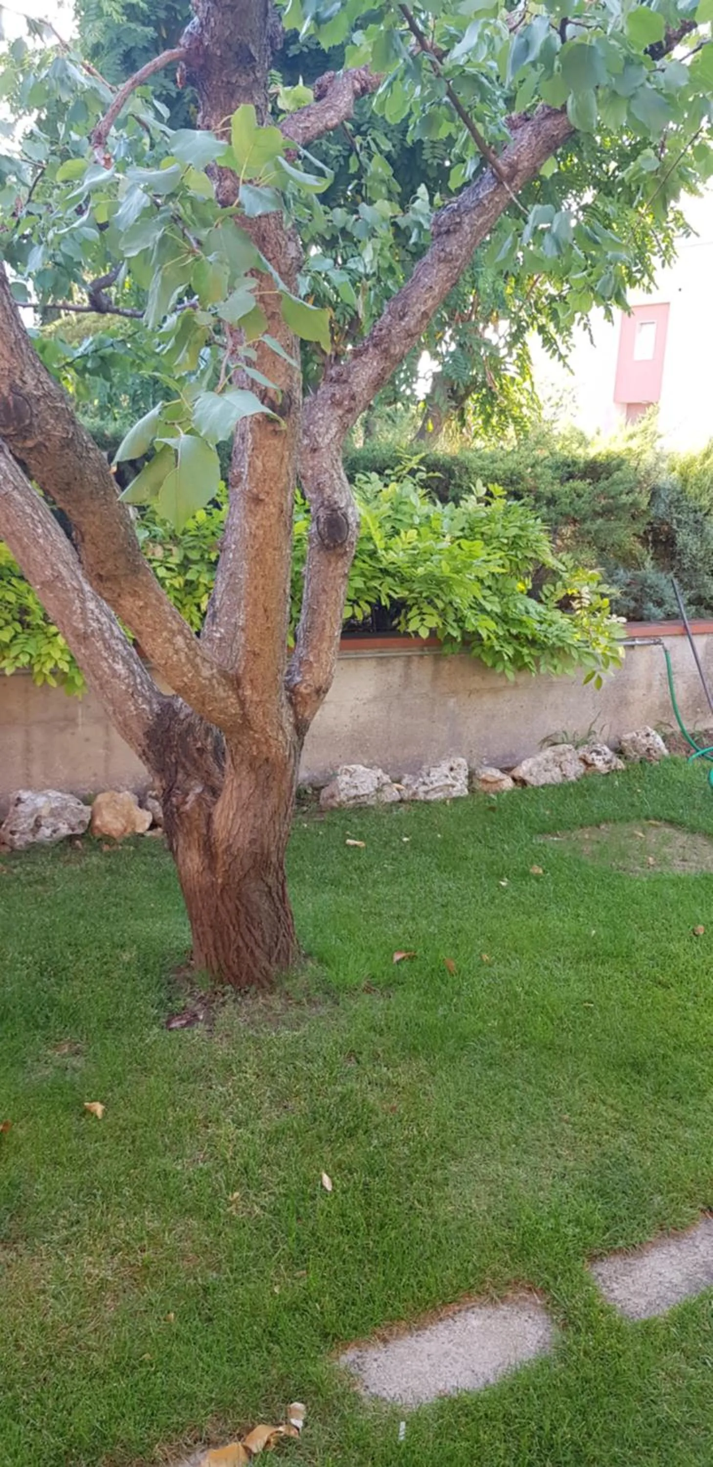 Facade/entrance in Sassi's Loft