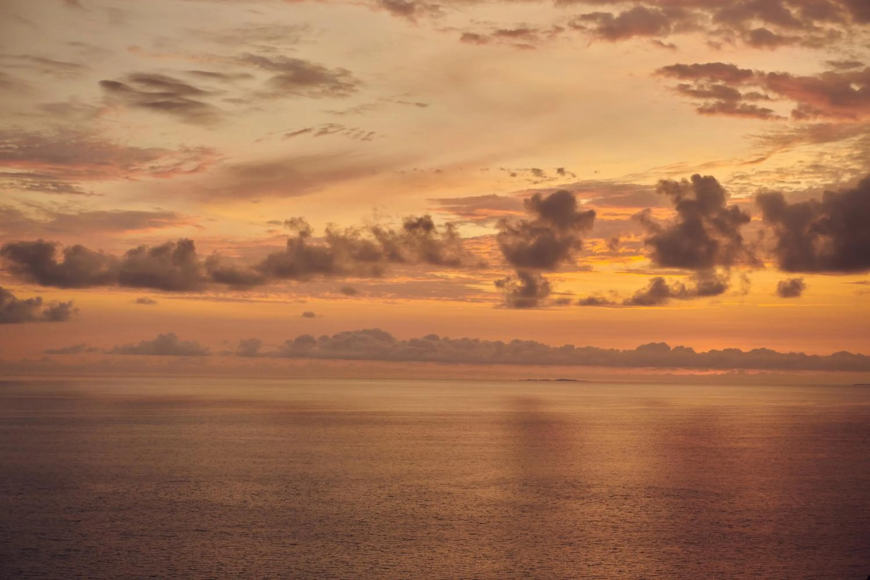 Bird's eye view in Hotel Boutique Luxury Patio Azul