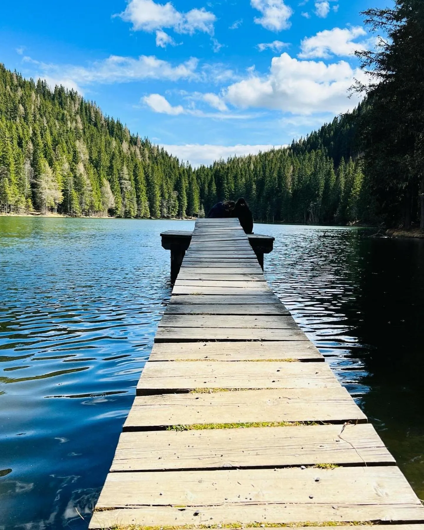 Natural landscape in Pension Lambrecht