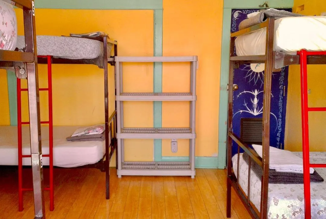 bunk bed, Bed in The Only Backpacker's Inn