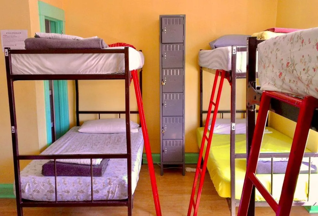 bunk bed, Bed in The Only Backpacker's Inn