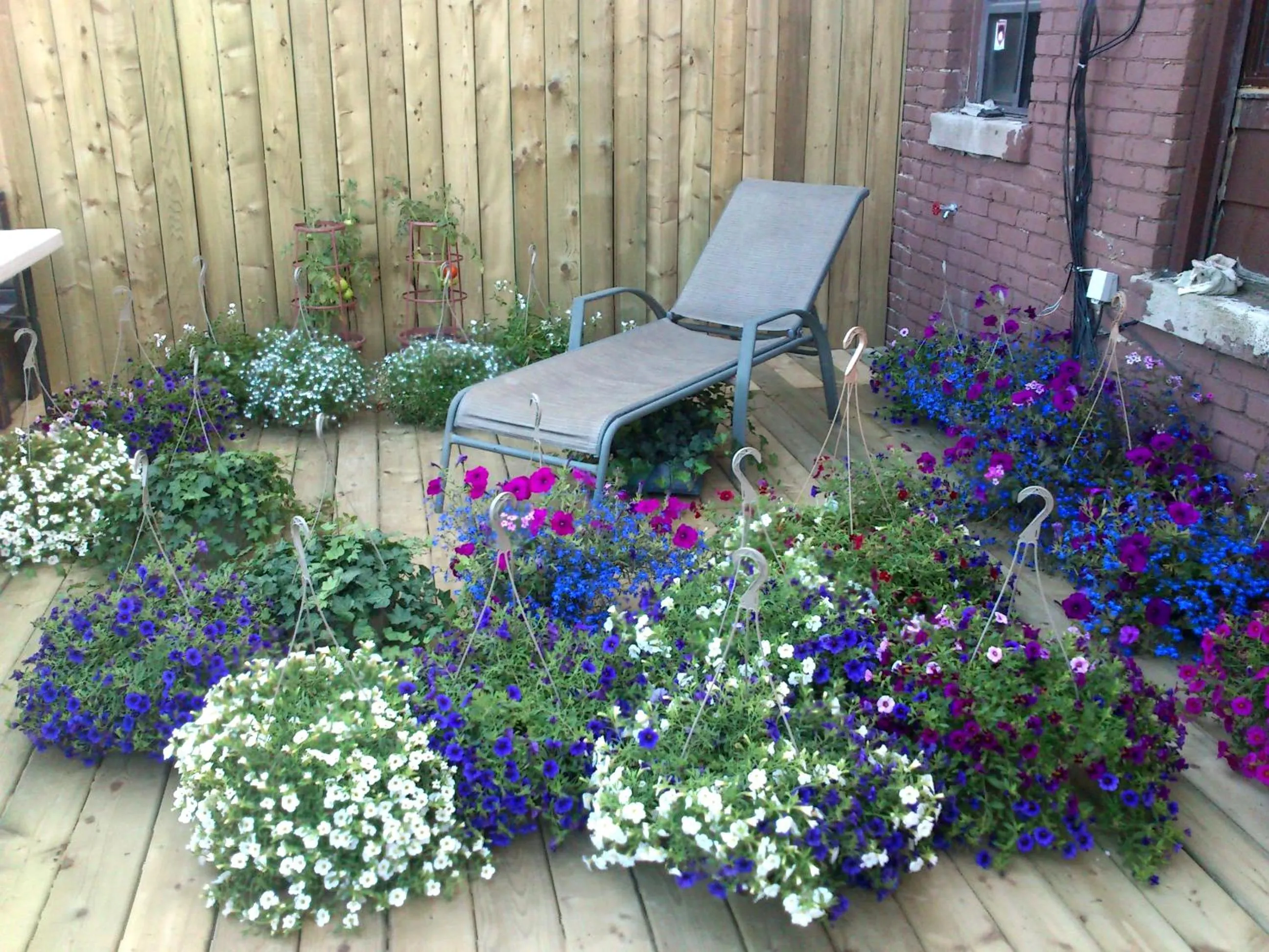 Balcony/Terrace in The Only Backpacker's Inn