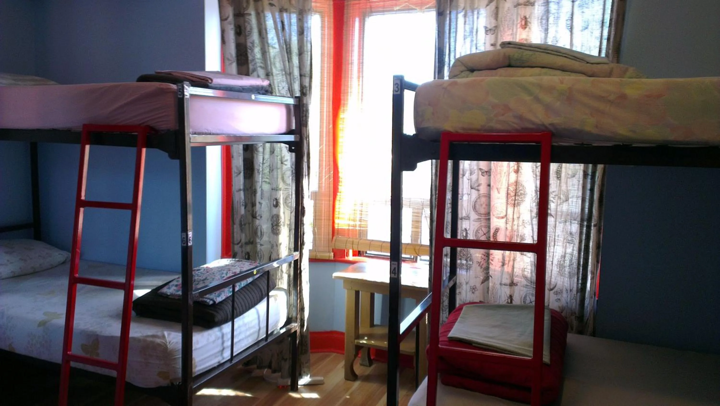 bunk bed, Bed in The Only Backpacker's Inn