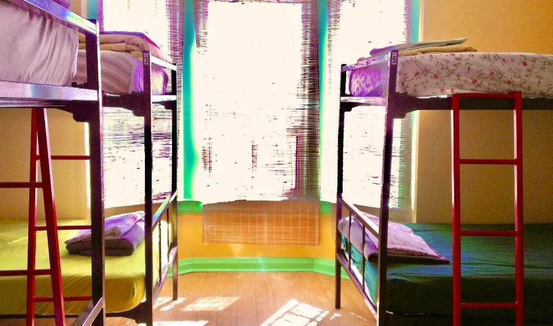 bunk bed, Bed in The Only Backpacker's Inn