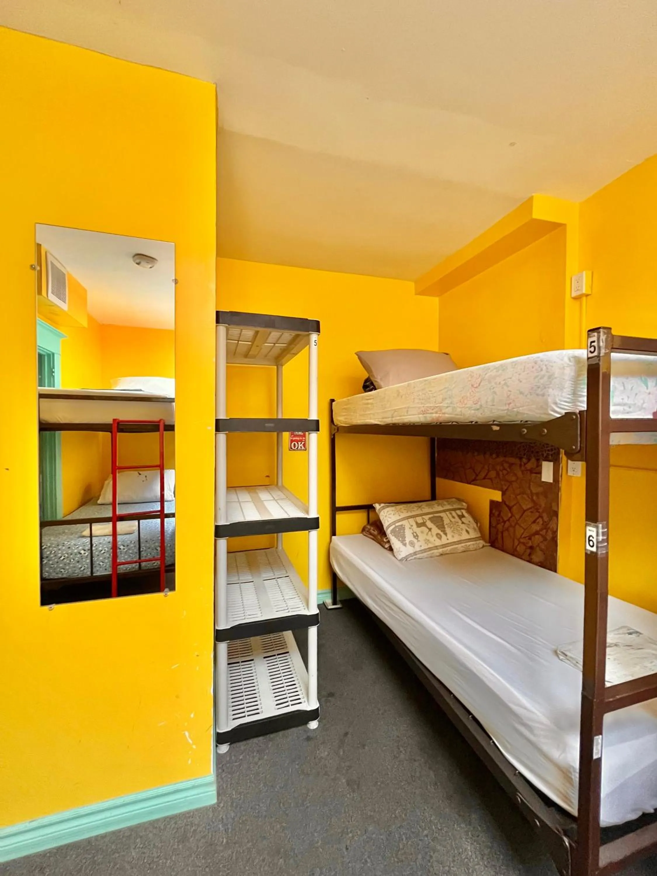 bunk bed, Bed in The Only Backpacker's Inn